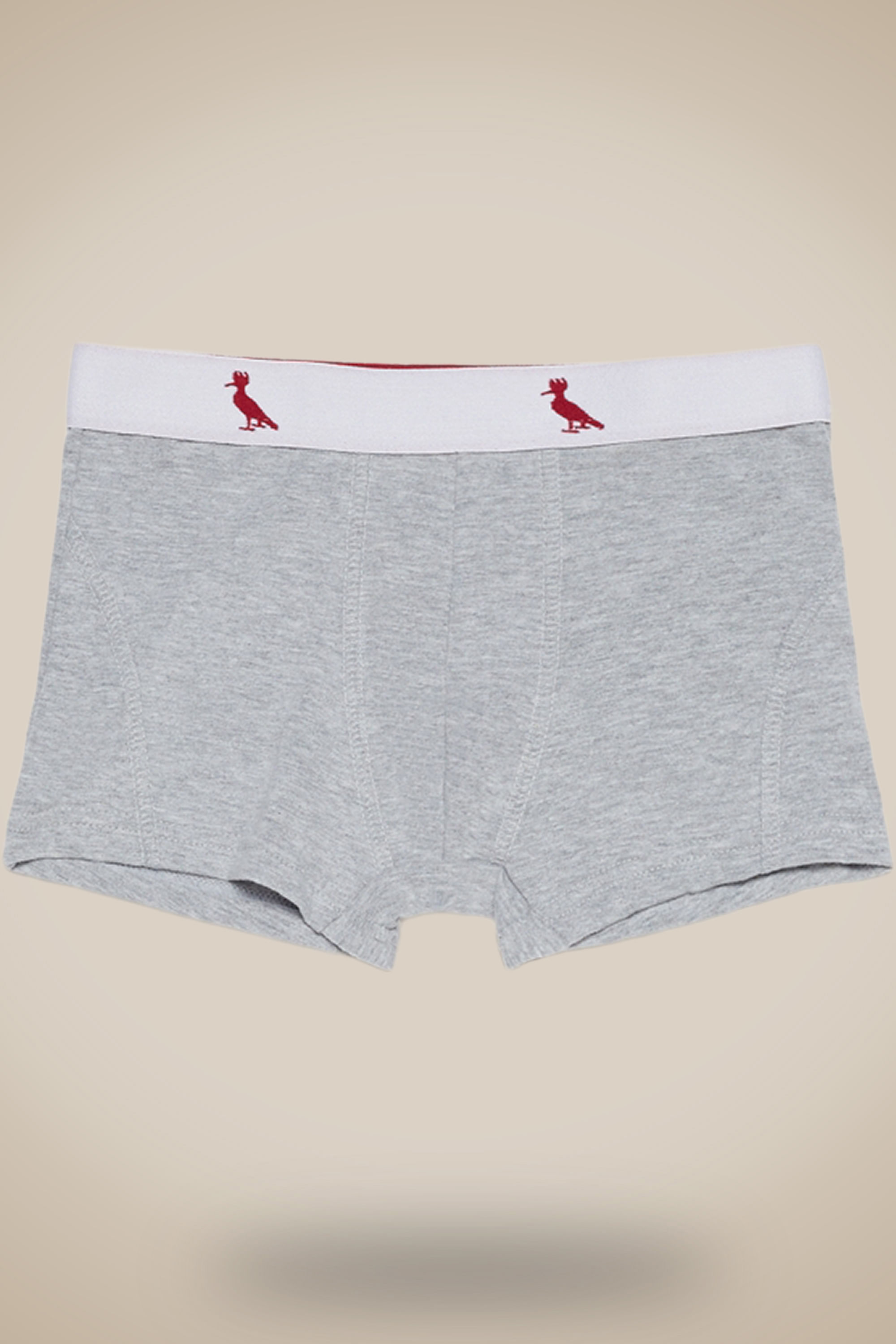 Cueca Cont Mini Boxer Algodao