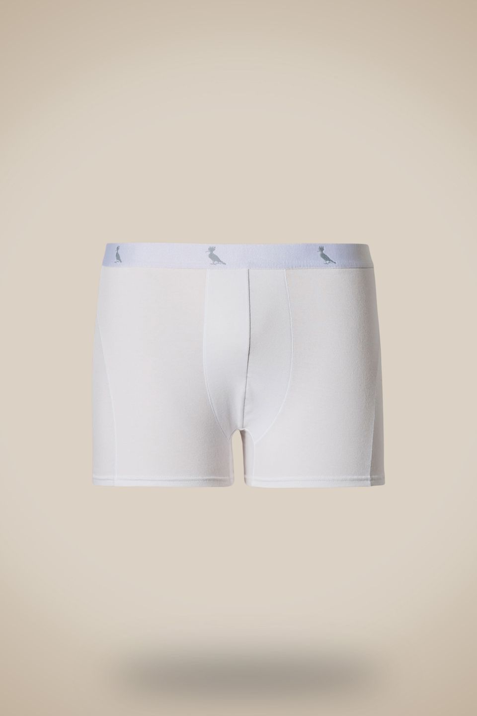 Cueca Surton Boxer