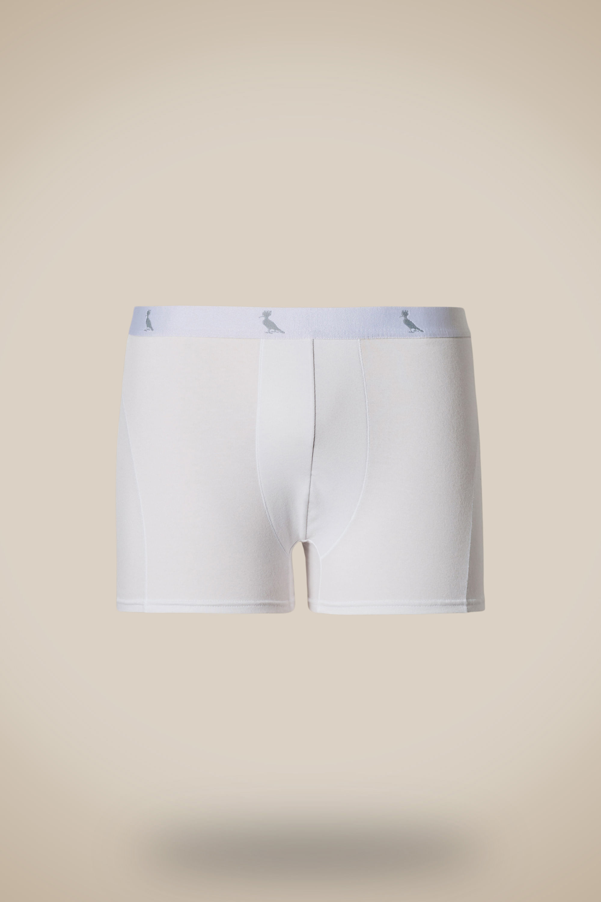 Cueca Surton Boxer
