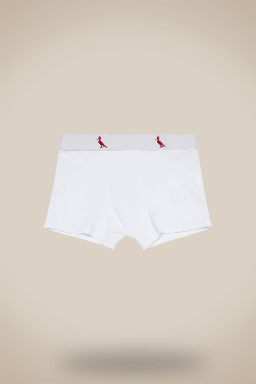 Cueca Cont Mini Boxer Algodao - Branco - 10