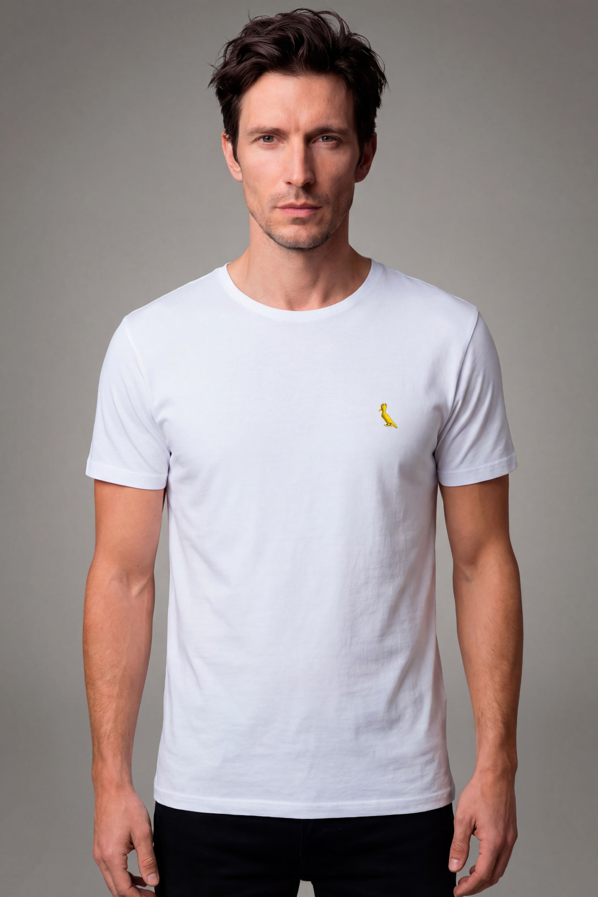 Camiseta Pica Pau Bordado Ouro