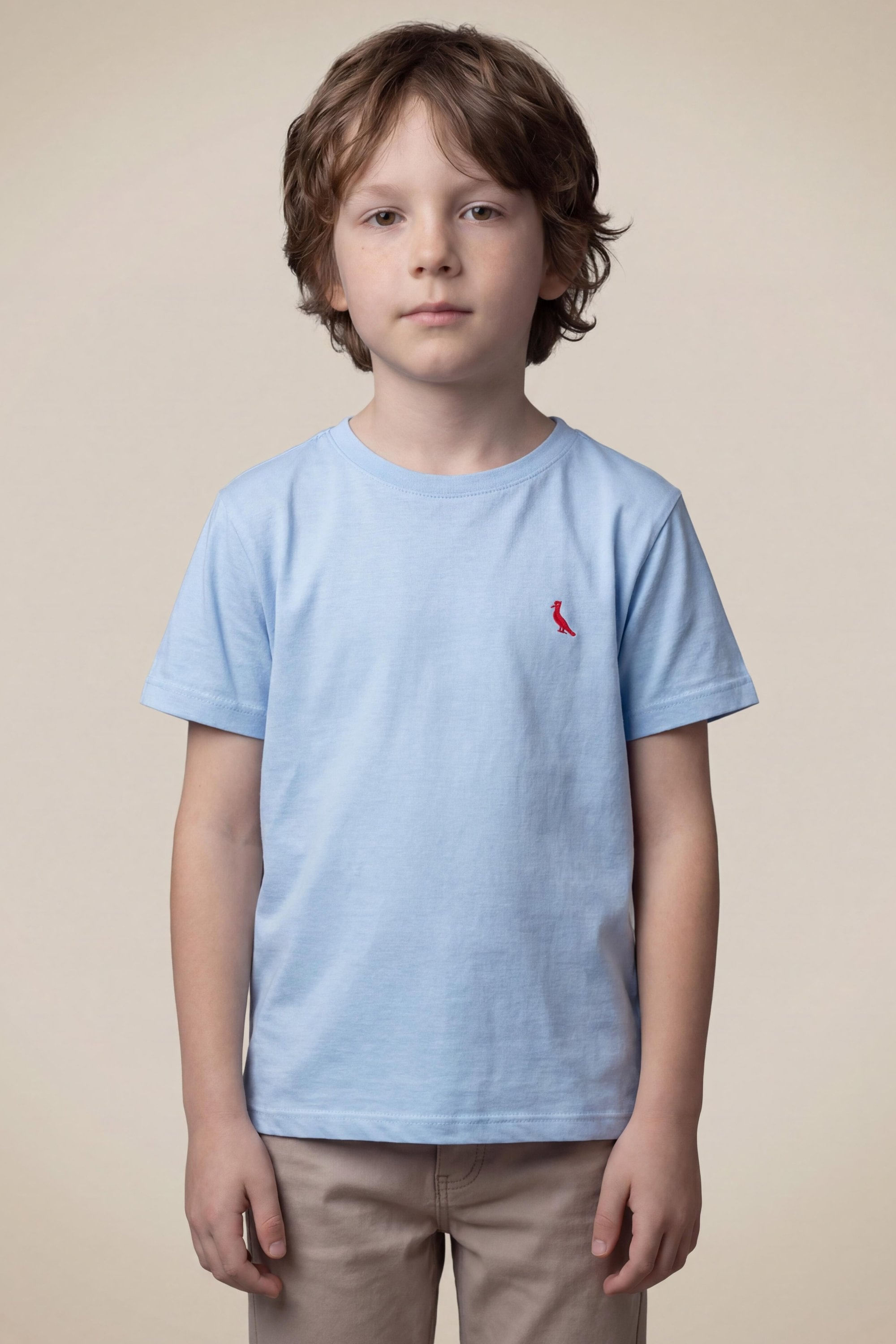 Camiseta Reserva Mini Brasa Pica-pau Bordado
