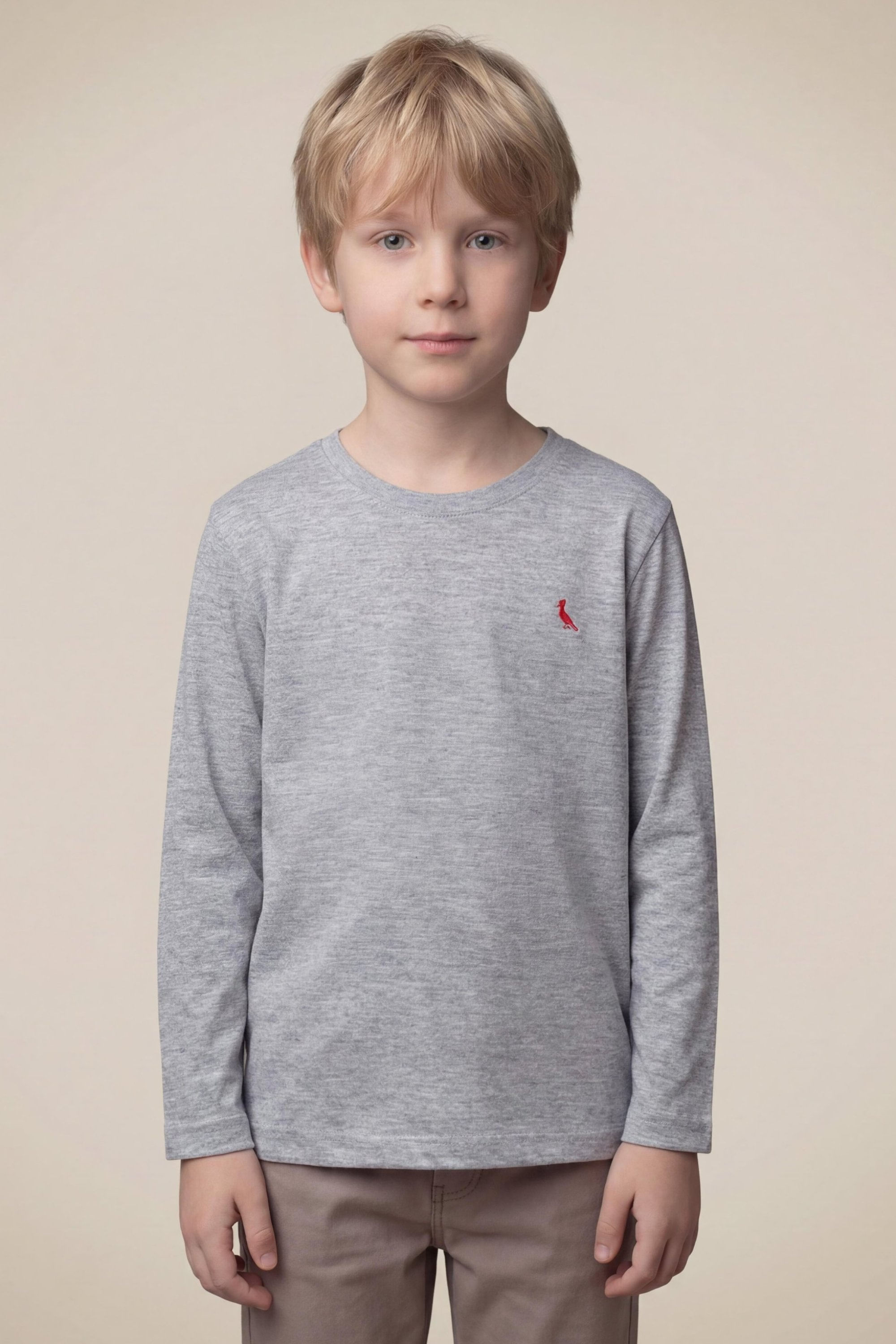 Camiseta Mini Pica-pau Brasa - Cinza Mescla - 06