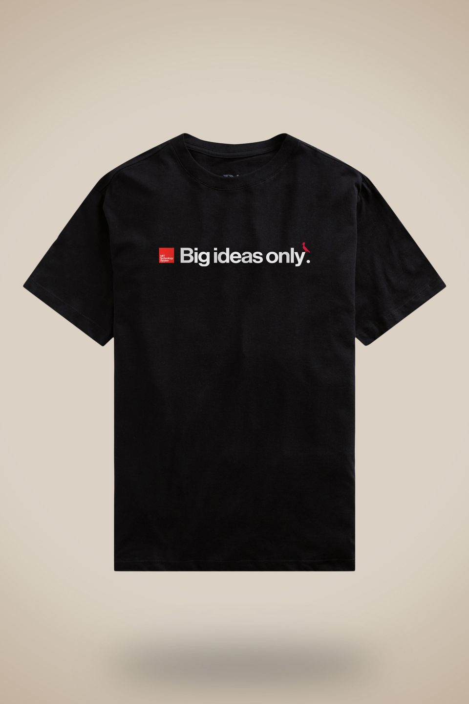 Camiseta Mit Big Ideas Only