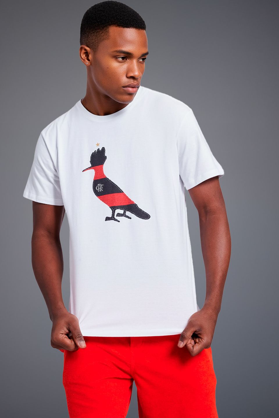 Camiseta Estampada Pica Pau Crf