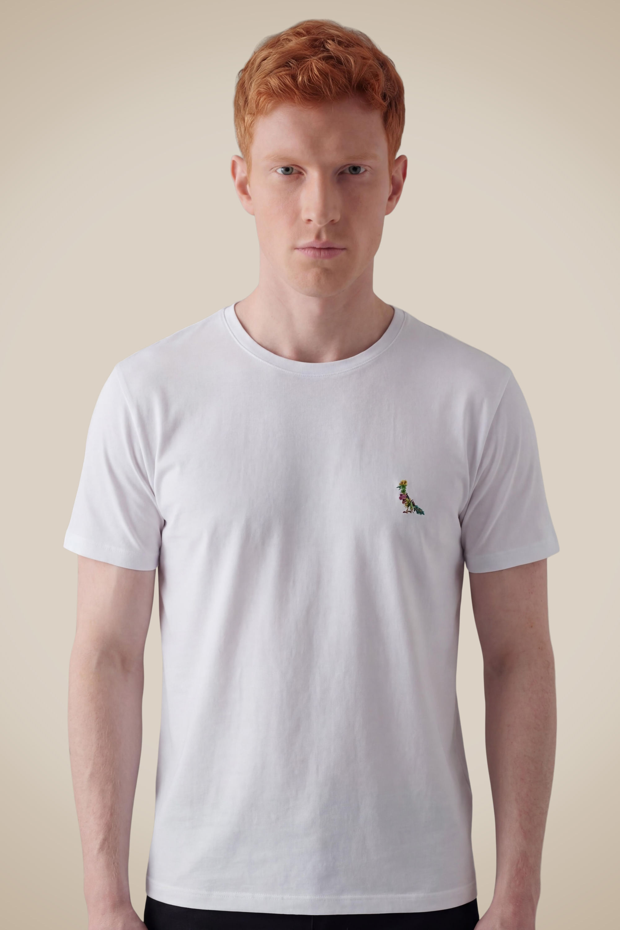 Camiseta Pica Pau Est Escudo Plantas - Branco - G
