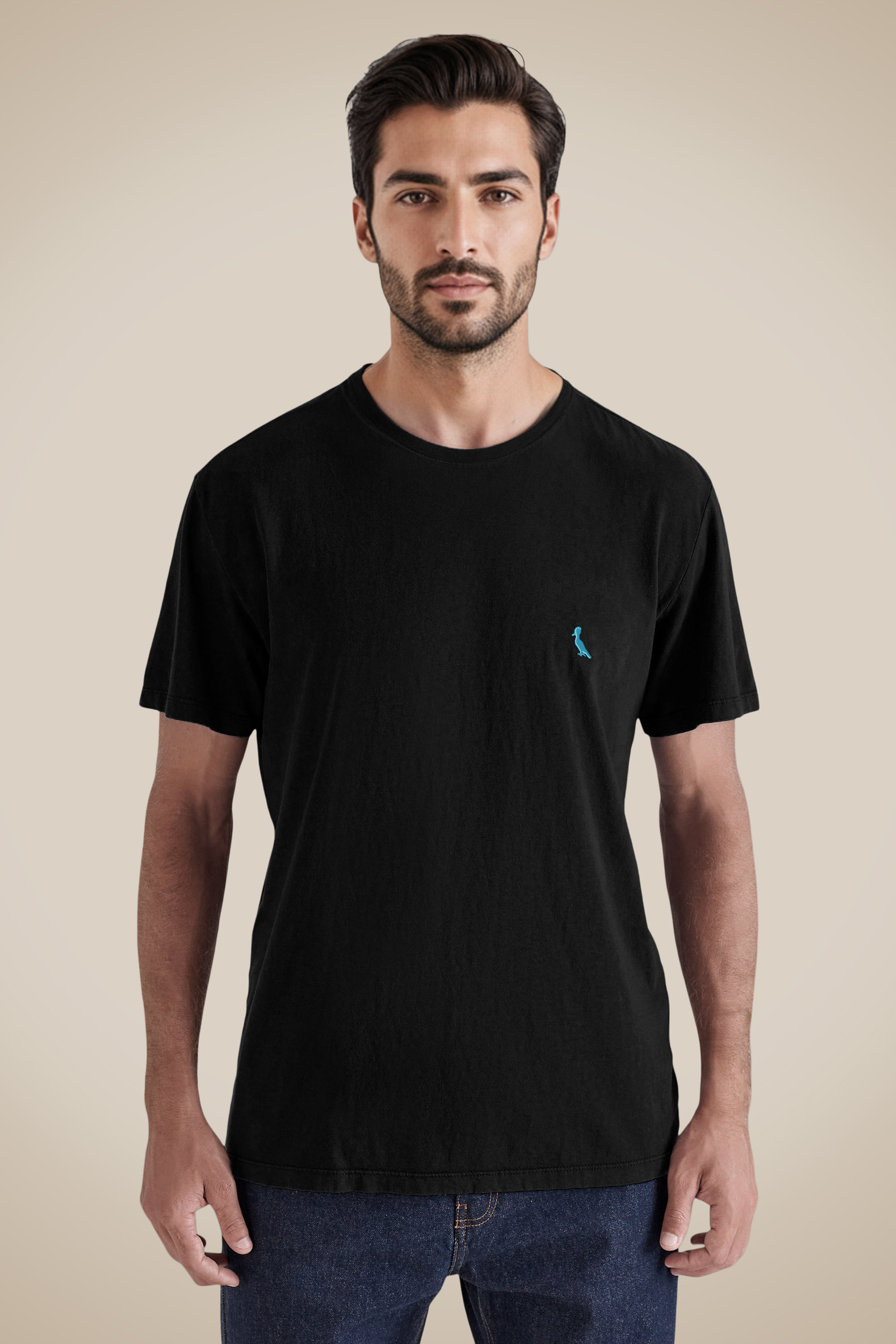 Camiseta Pica Pau Bordado Ceu