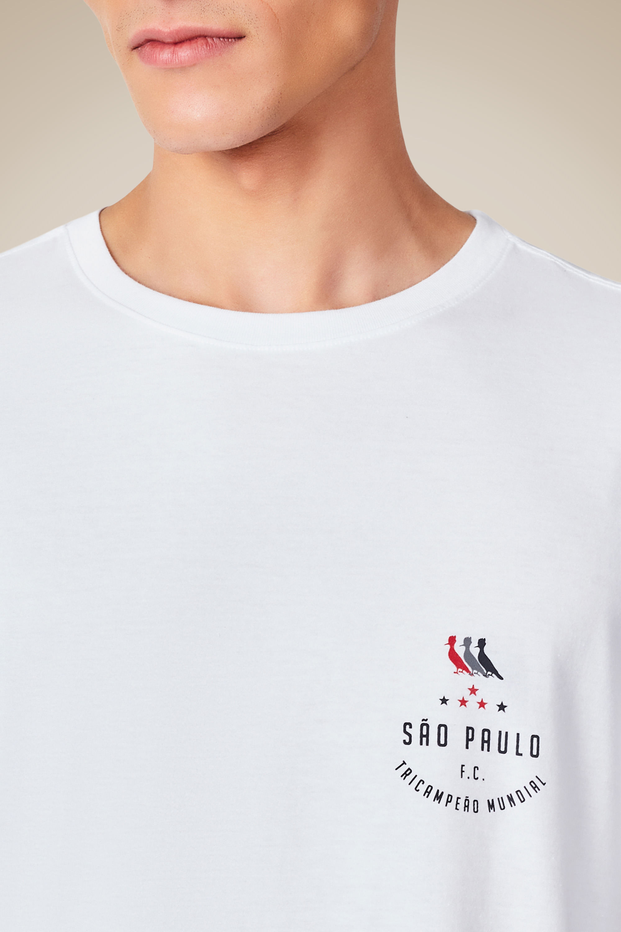 Camiseta Estampada Tricolor Sp