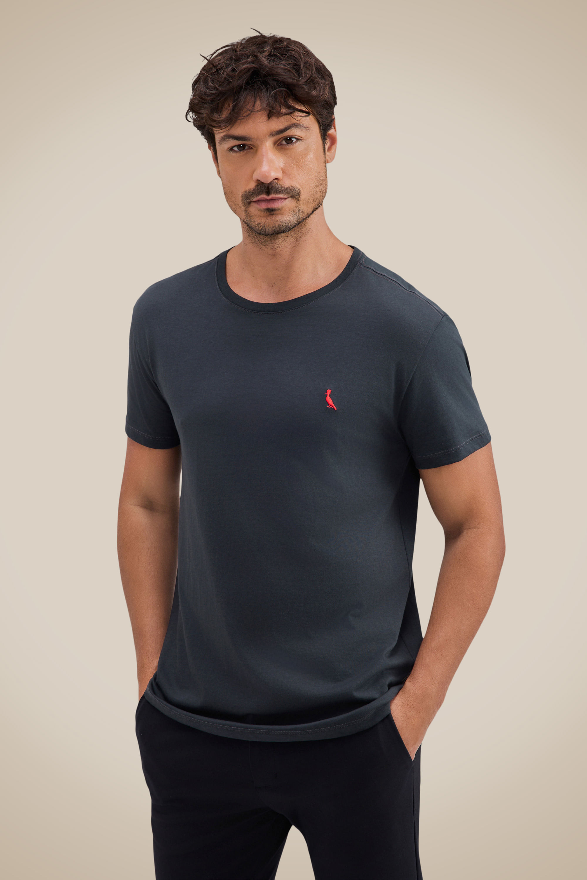 Camiseta Picapau Algodao Peruano