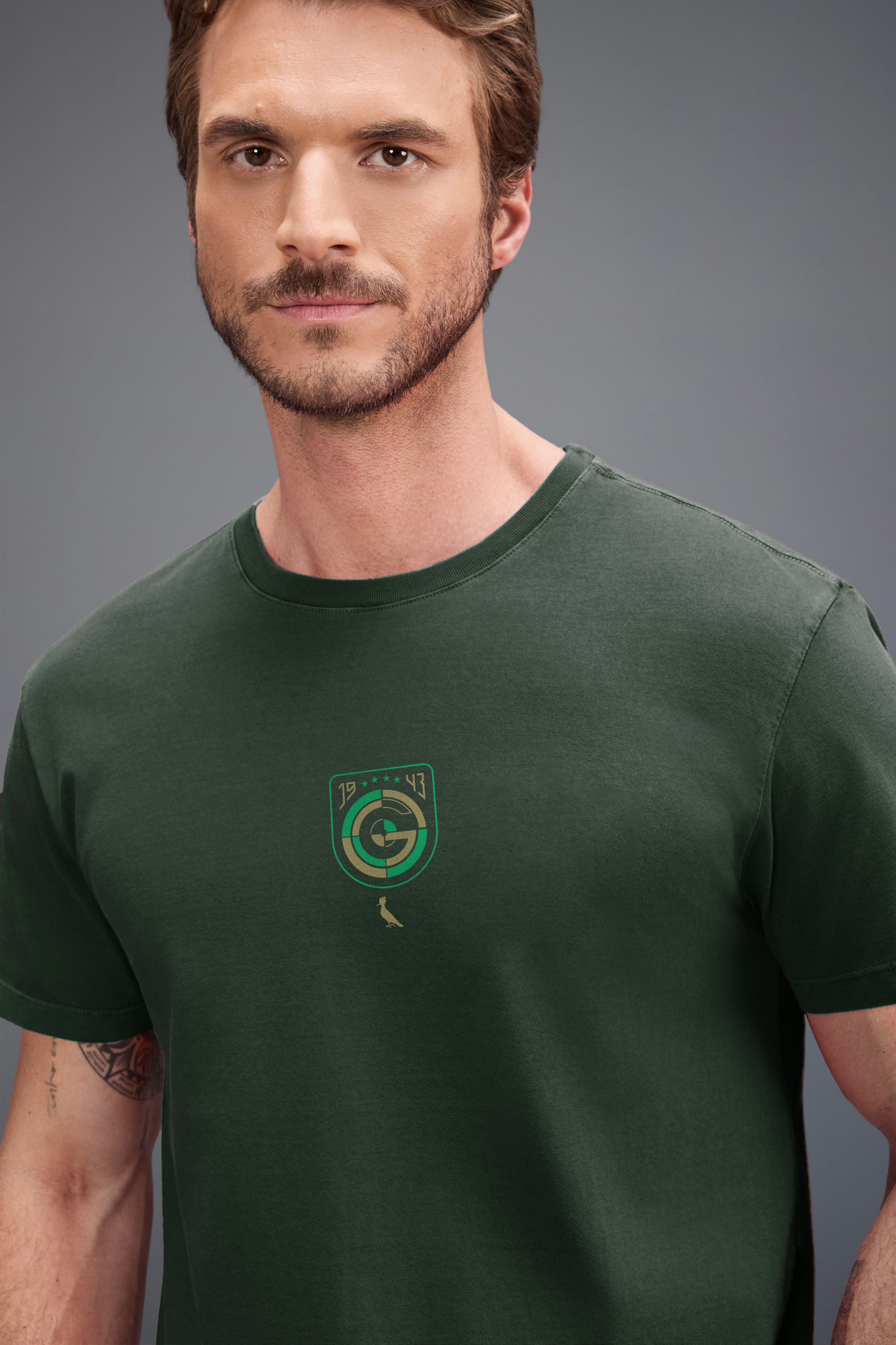 Camiseta Est Orgulho Alviverde