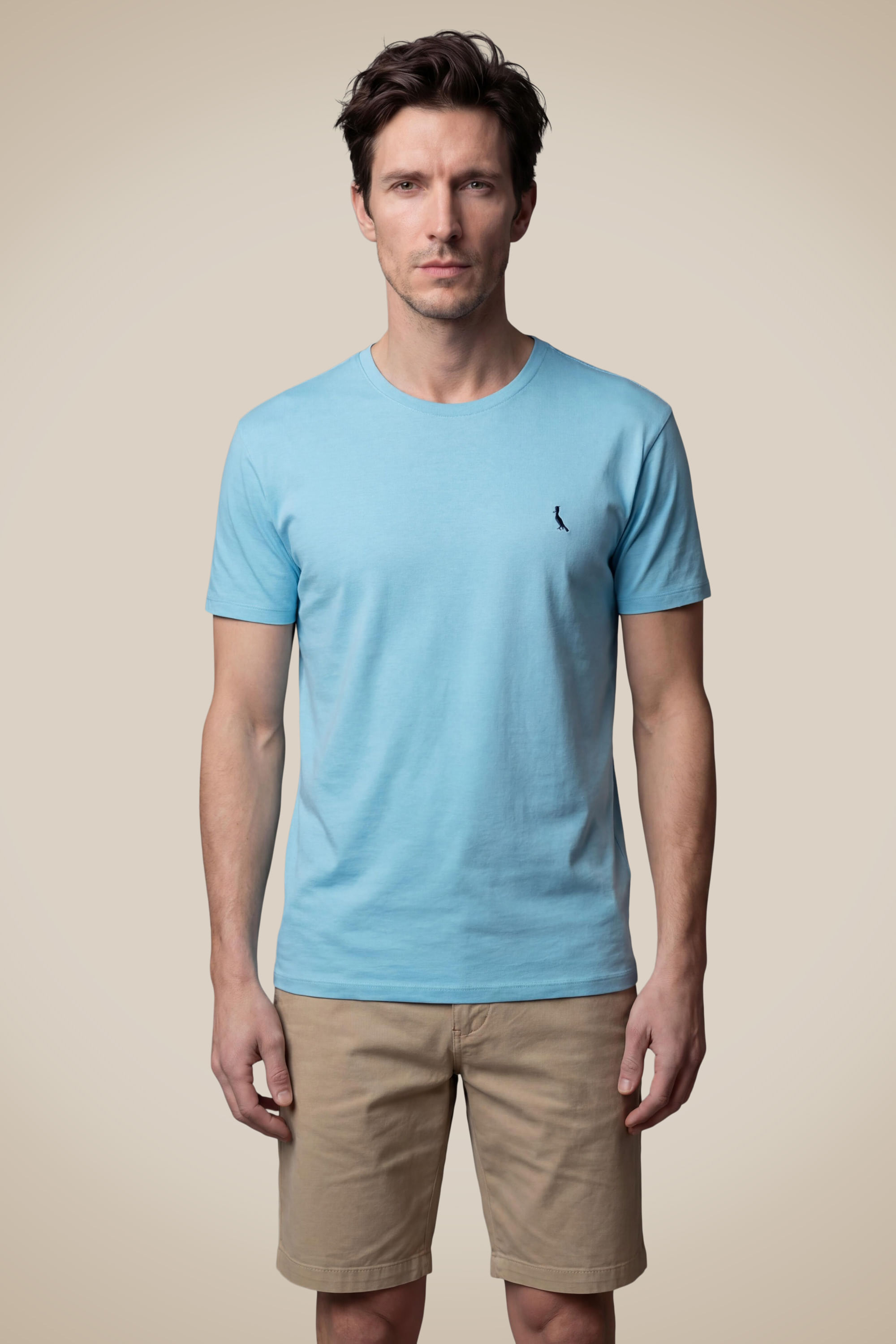 Camiseta Regular Vento