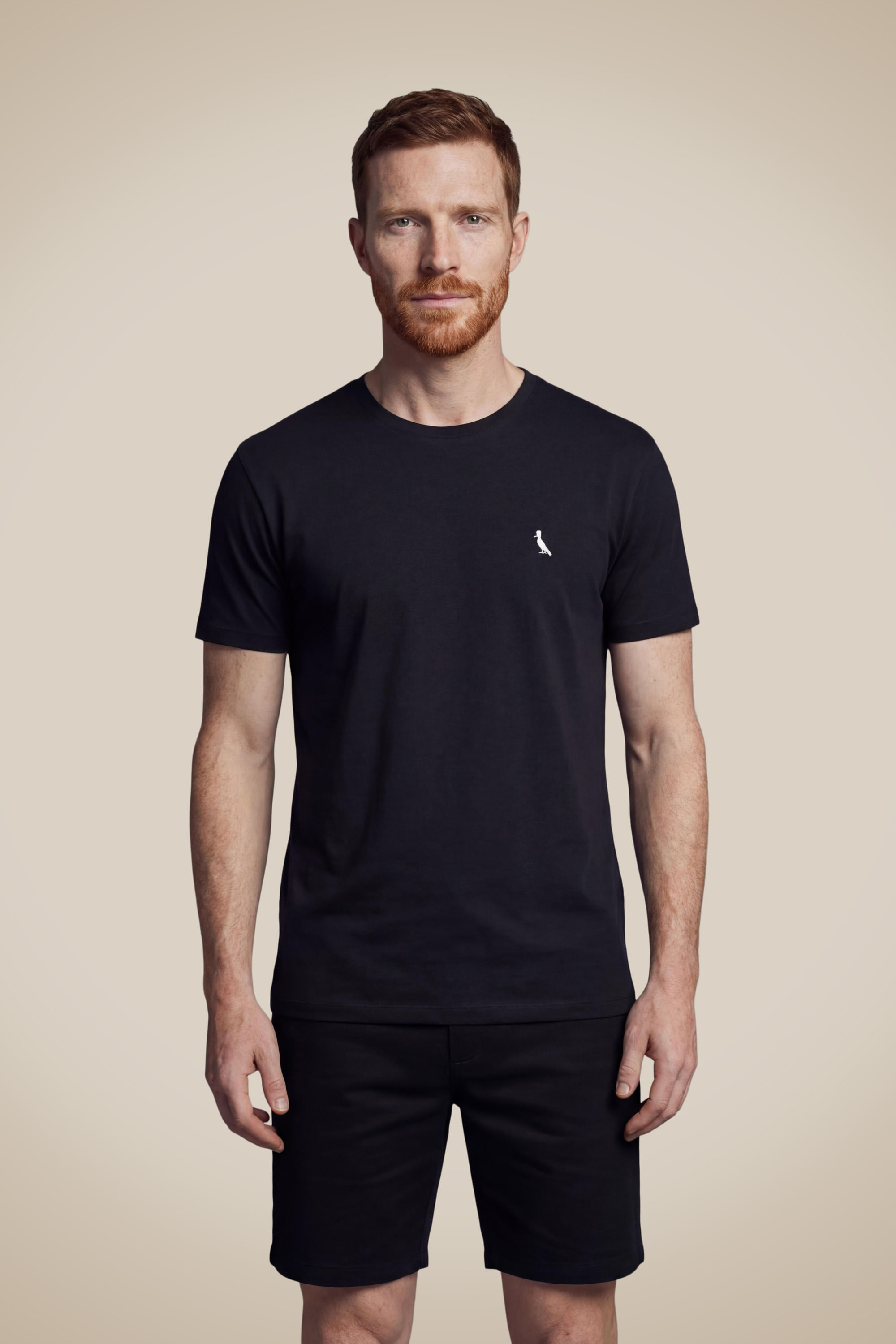 Camiseta Regular Vento
