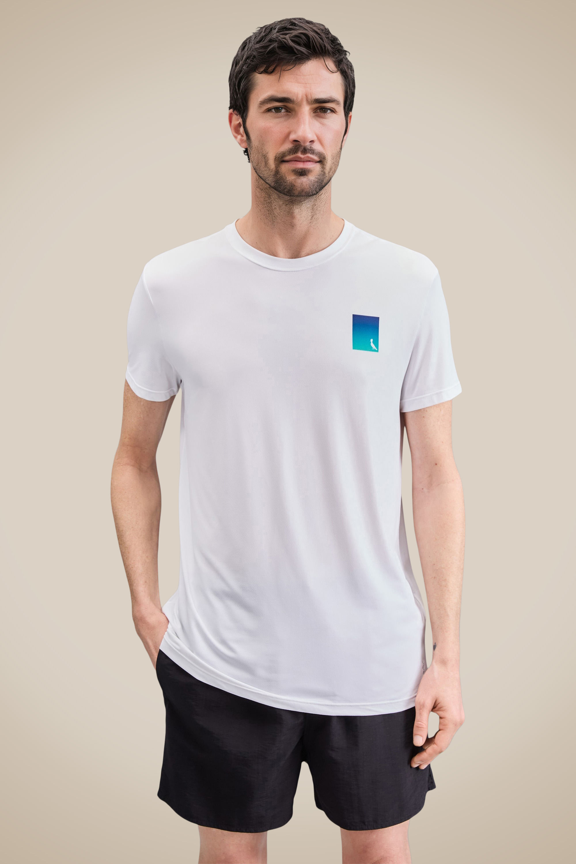Camiseta Estampada Pica Pau Degrade Run