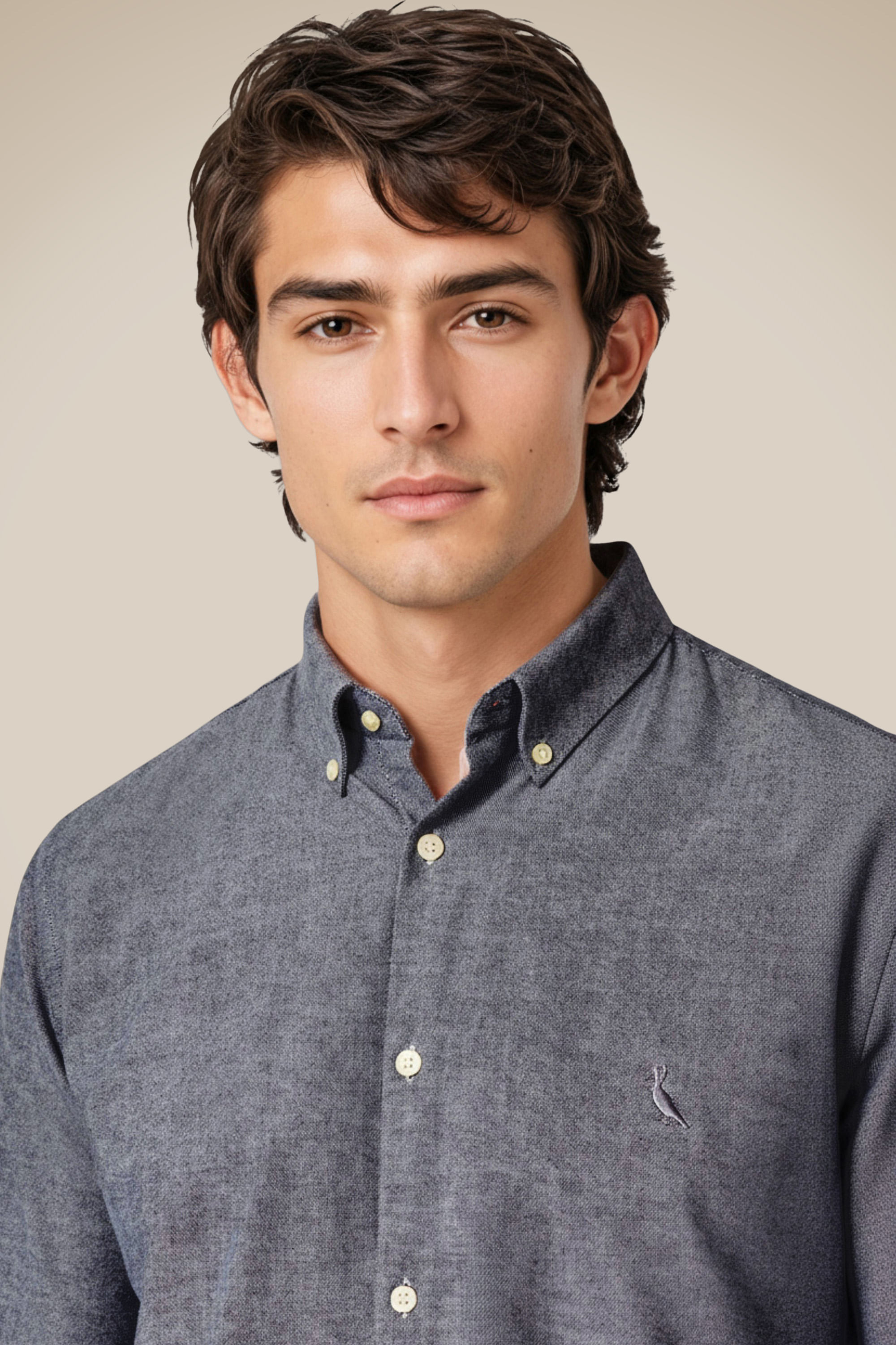 Camisa Ml Oxford Premium
