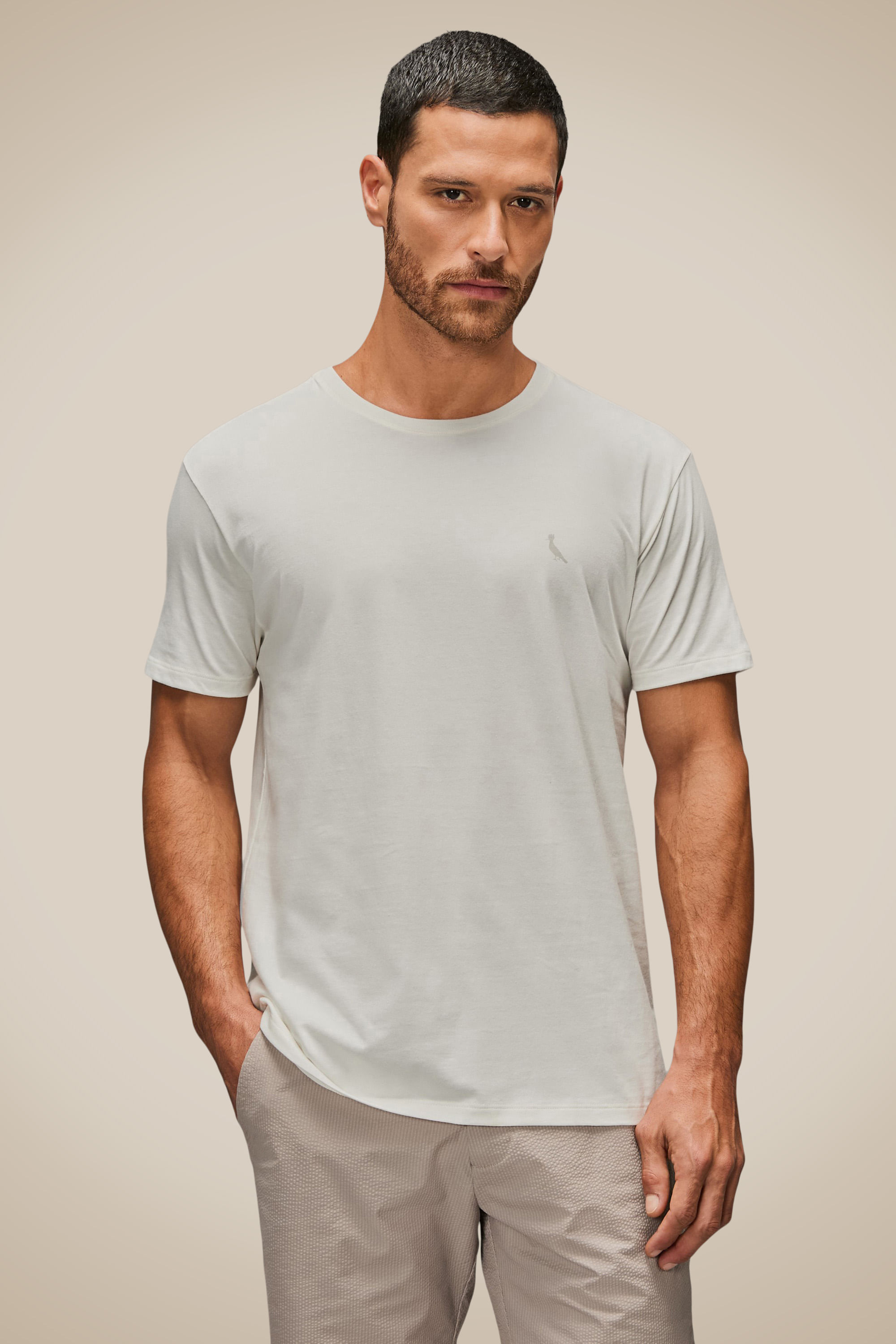 Camiseta Regular Basic