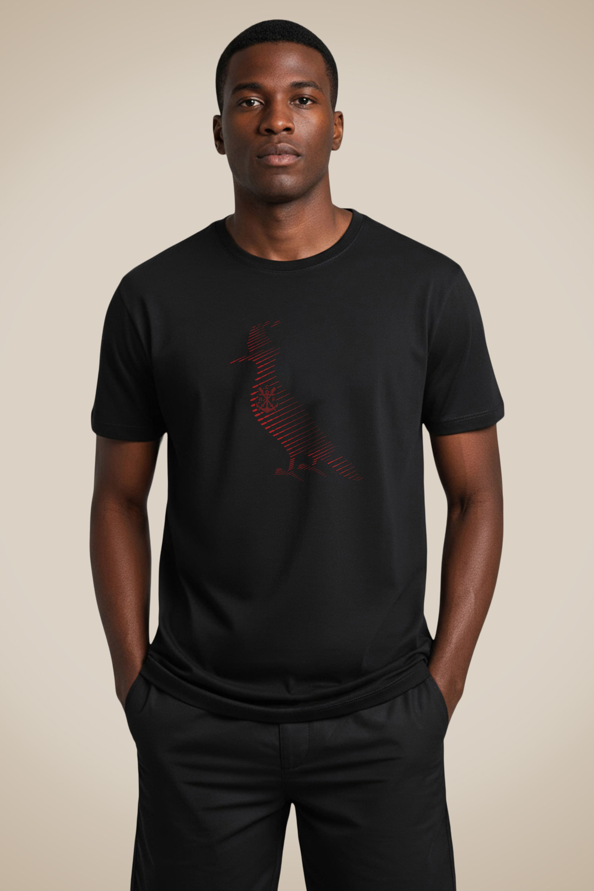 Camiseta Estampada Flamengo Pica Pau 130