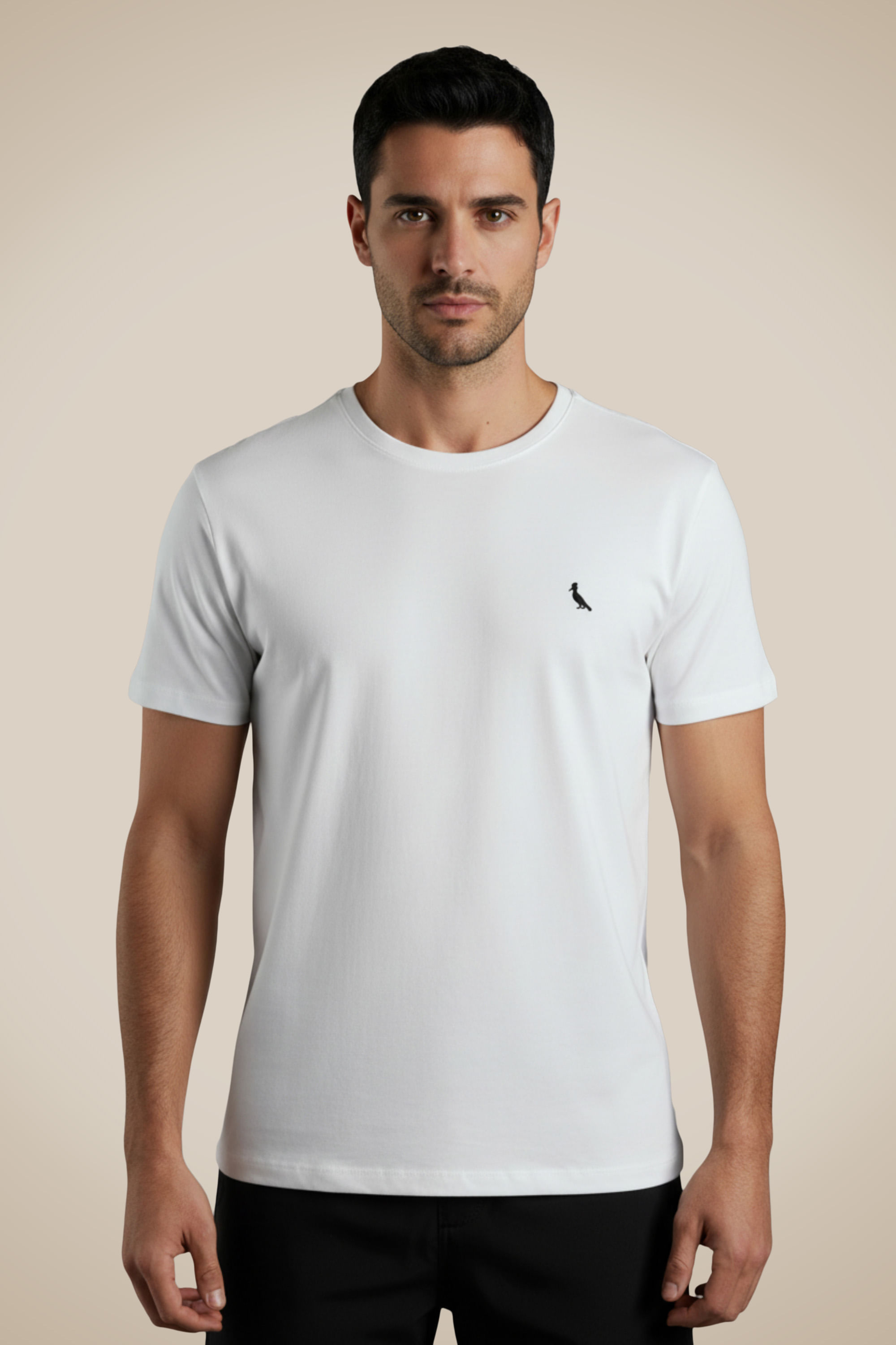 Camiseta Picapau Algodao Peruano Enxuto