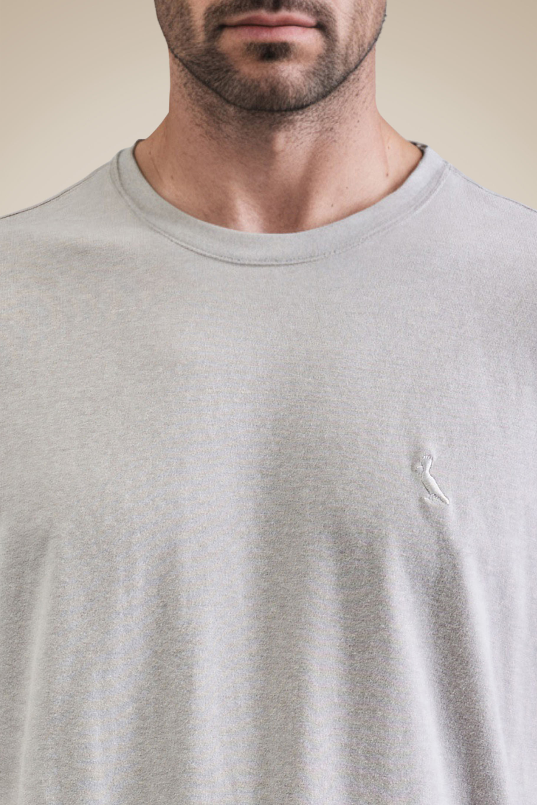 Camiseta Regular Mescla Touch