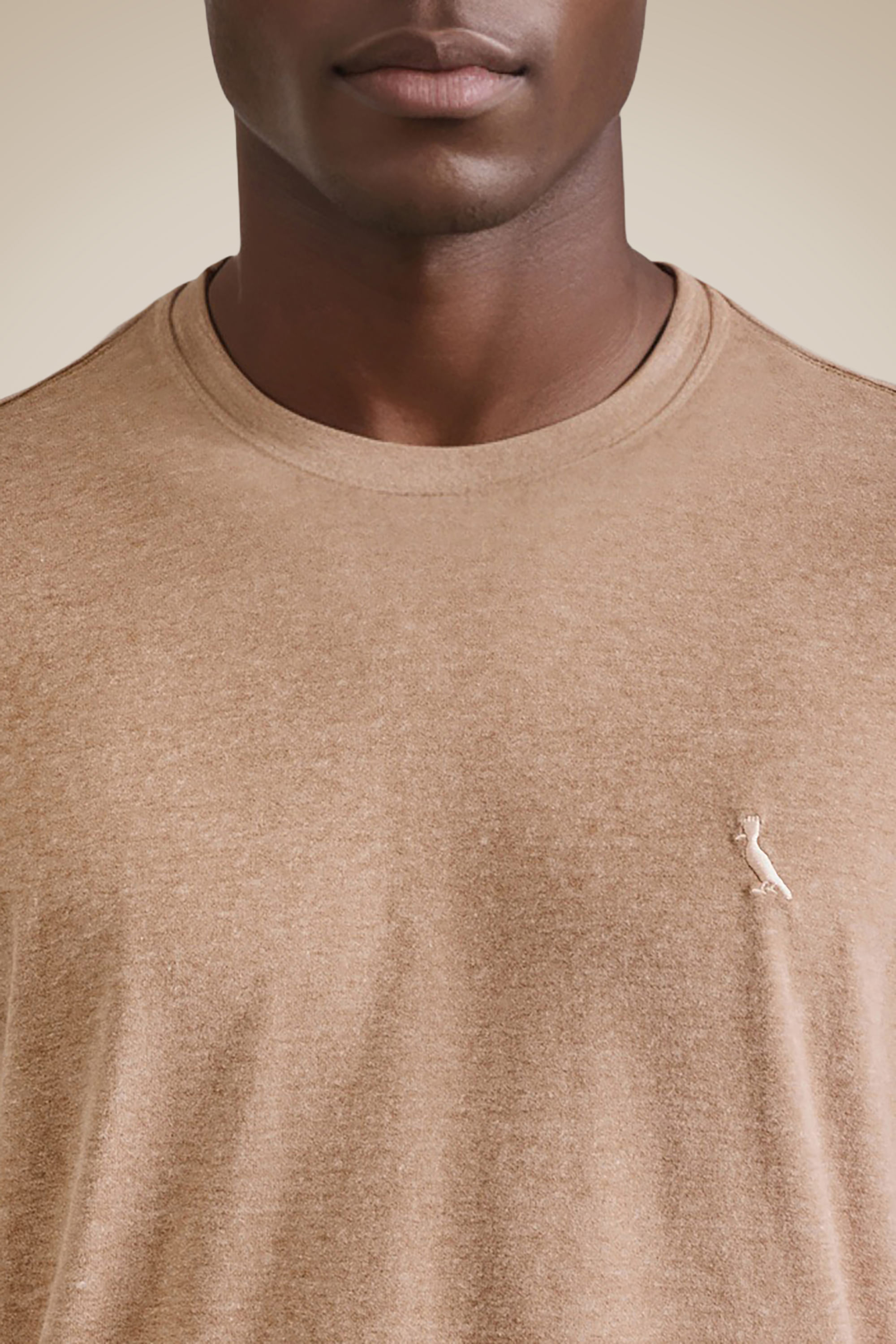 Camiseta Regular Mescla Touch