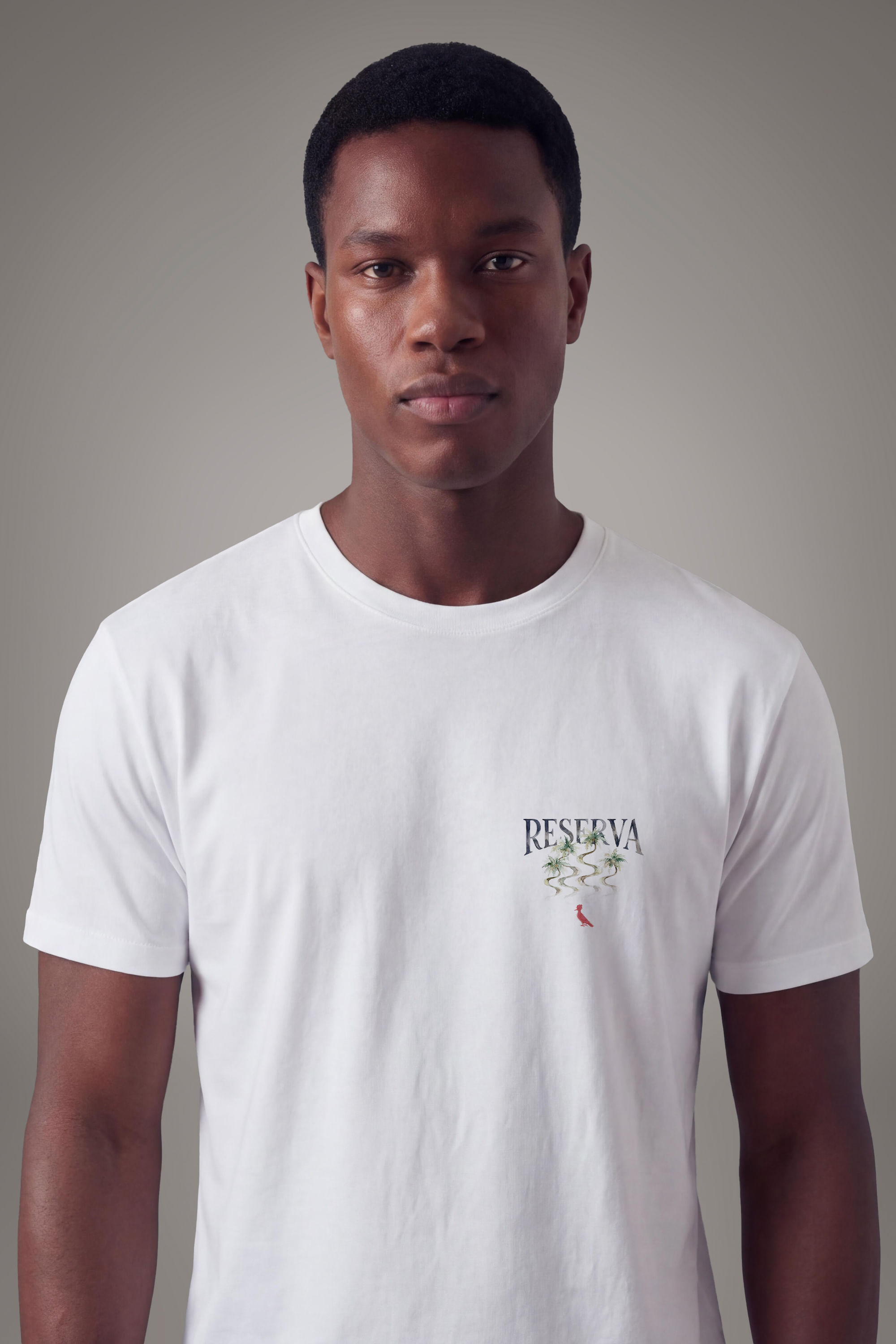 Camiseta Est Esc Rsv Calcadao