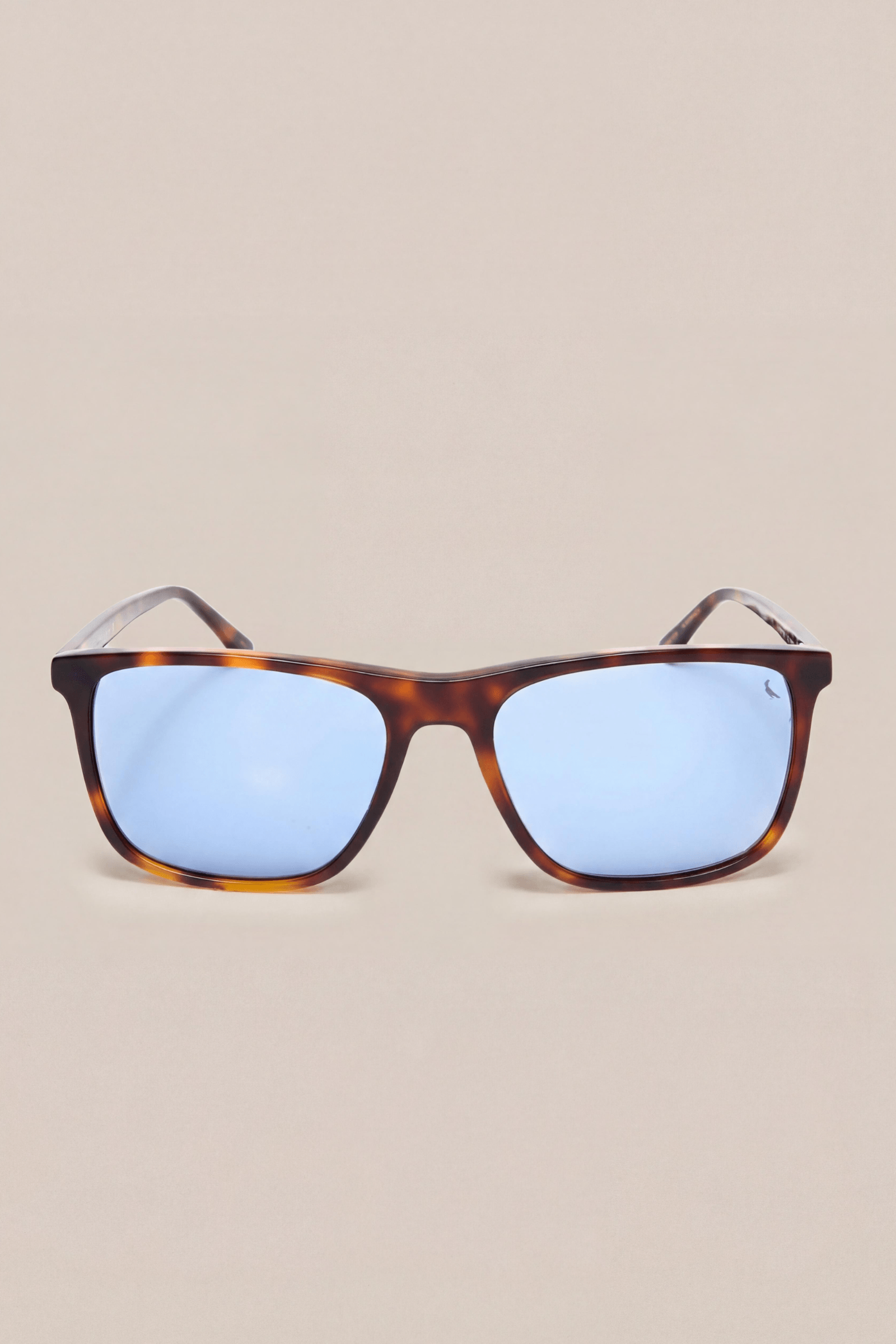 Oculos Reserva Rsv6009s