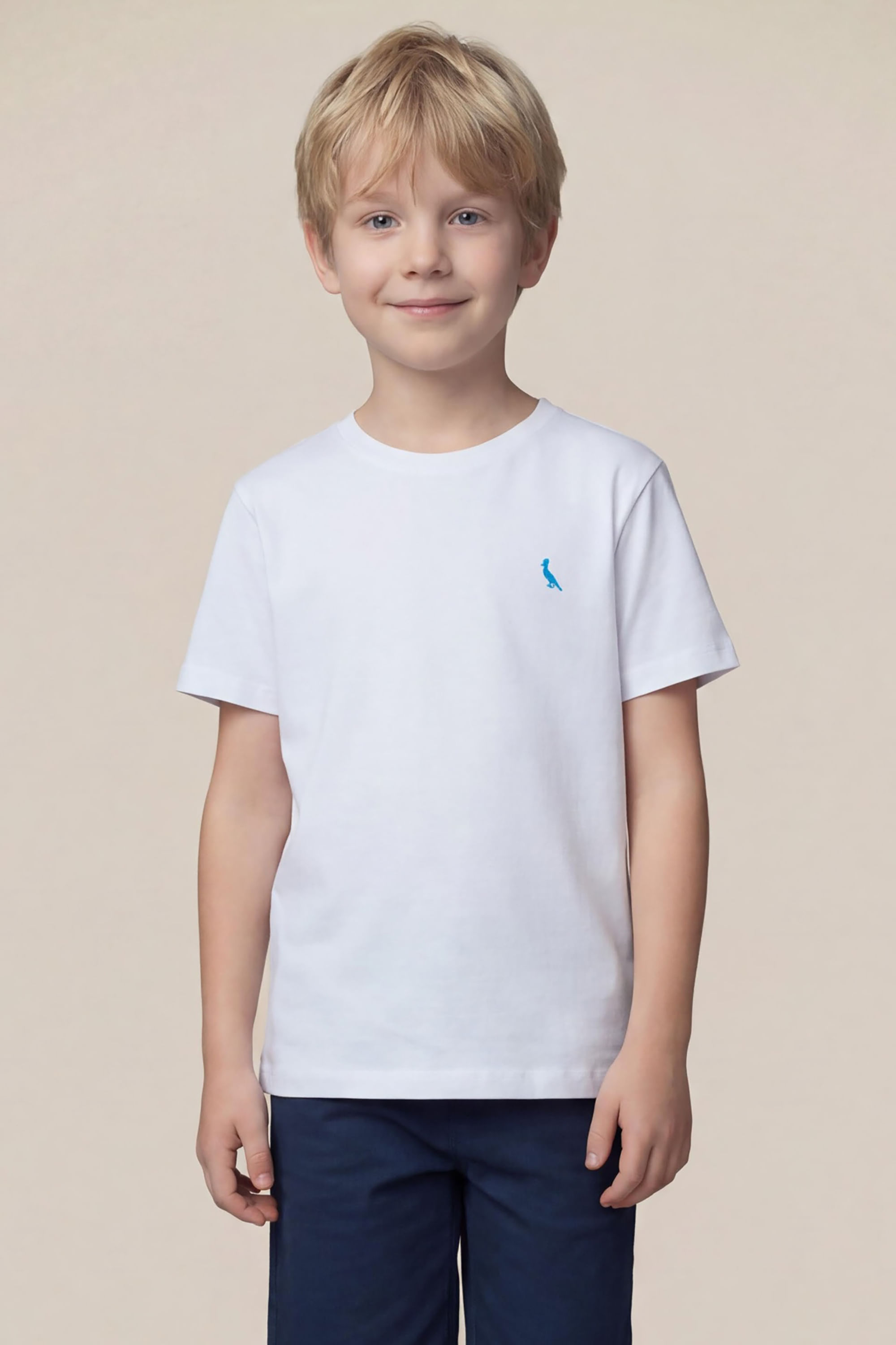 Camiseta Mini Pica Pau Bordado Ceu