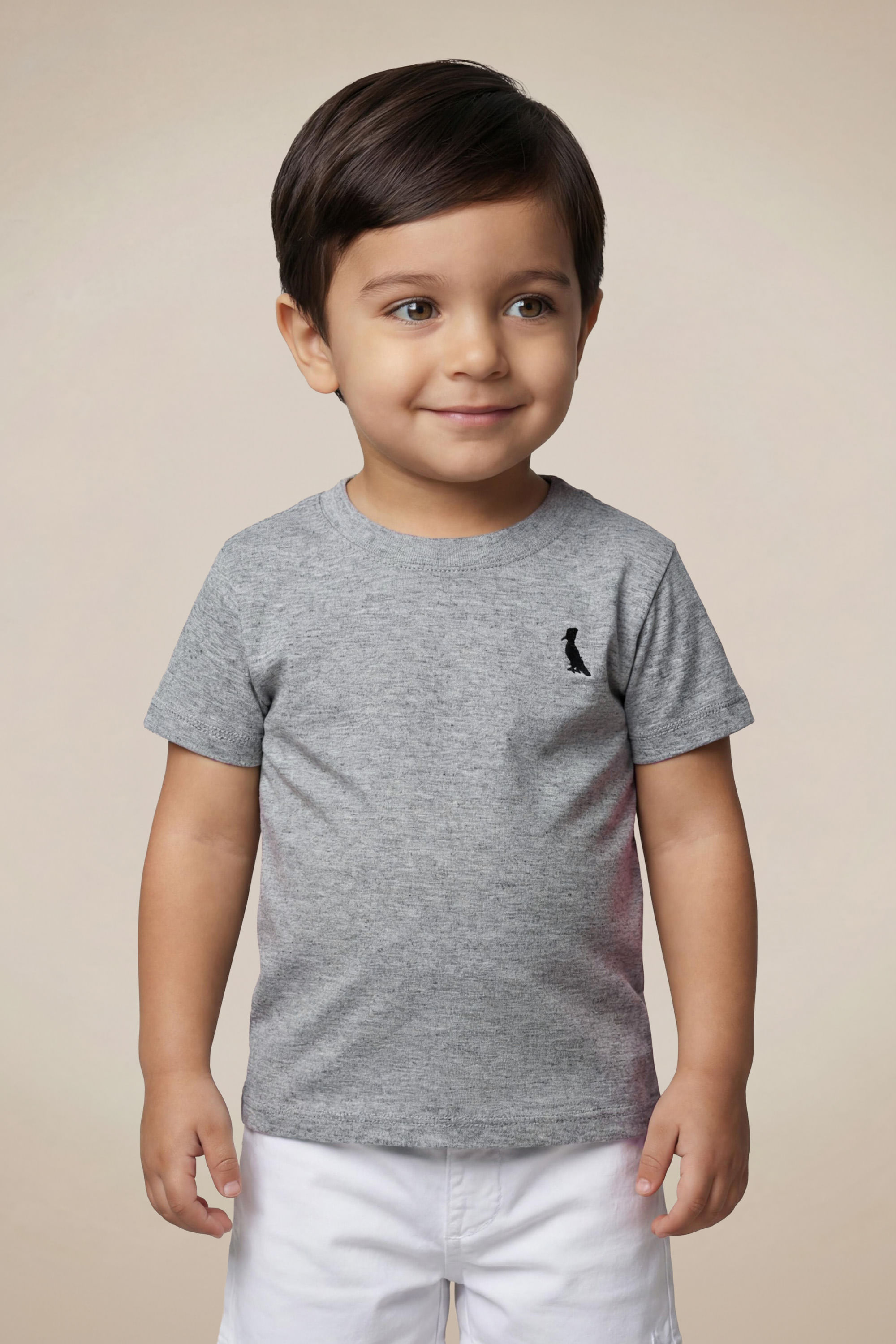 Camiseta Mc Bb Mescla Paris