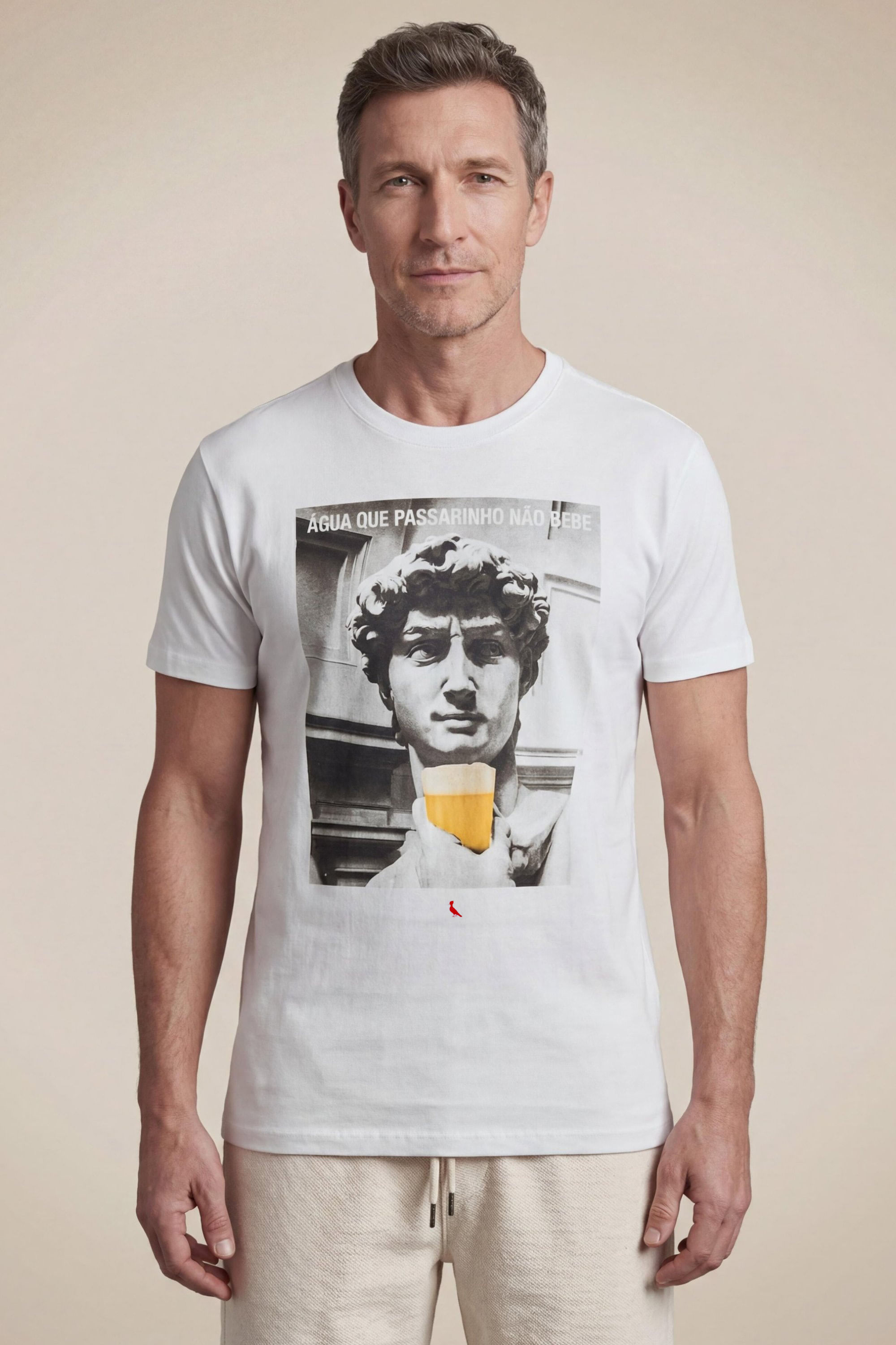 Camiseta Estampada Agua De Passarinho