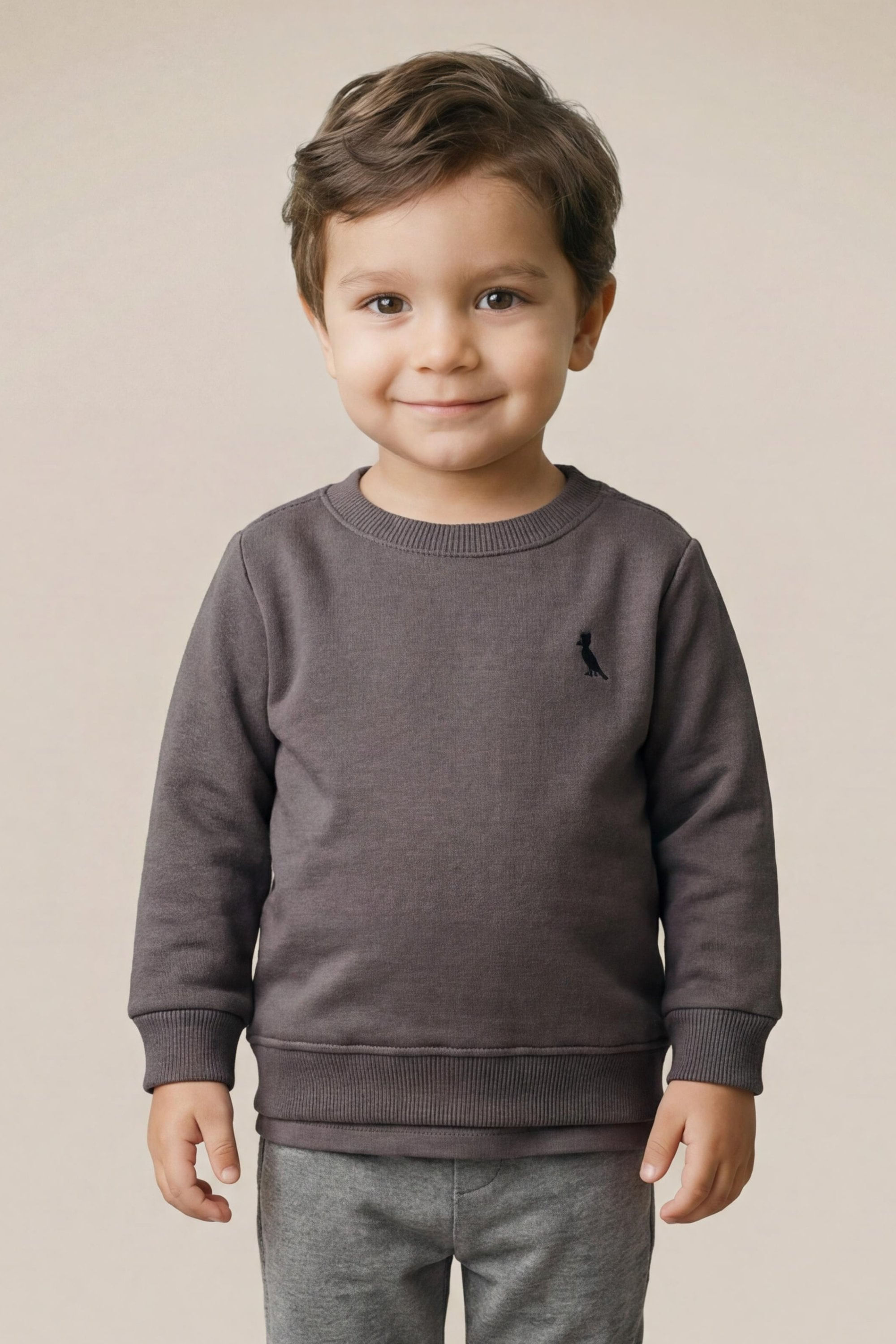 Sueter Bb Moletom Bordado