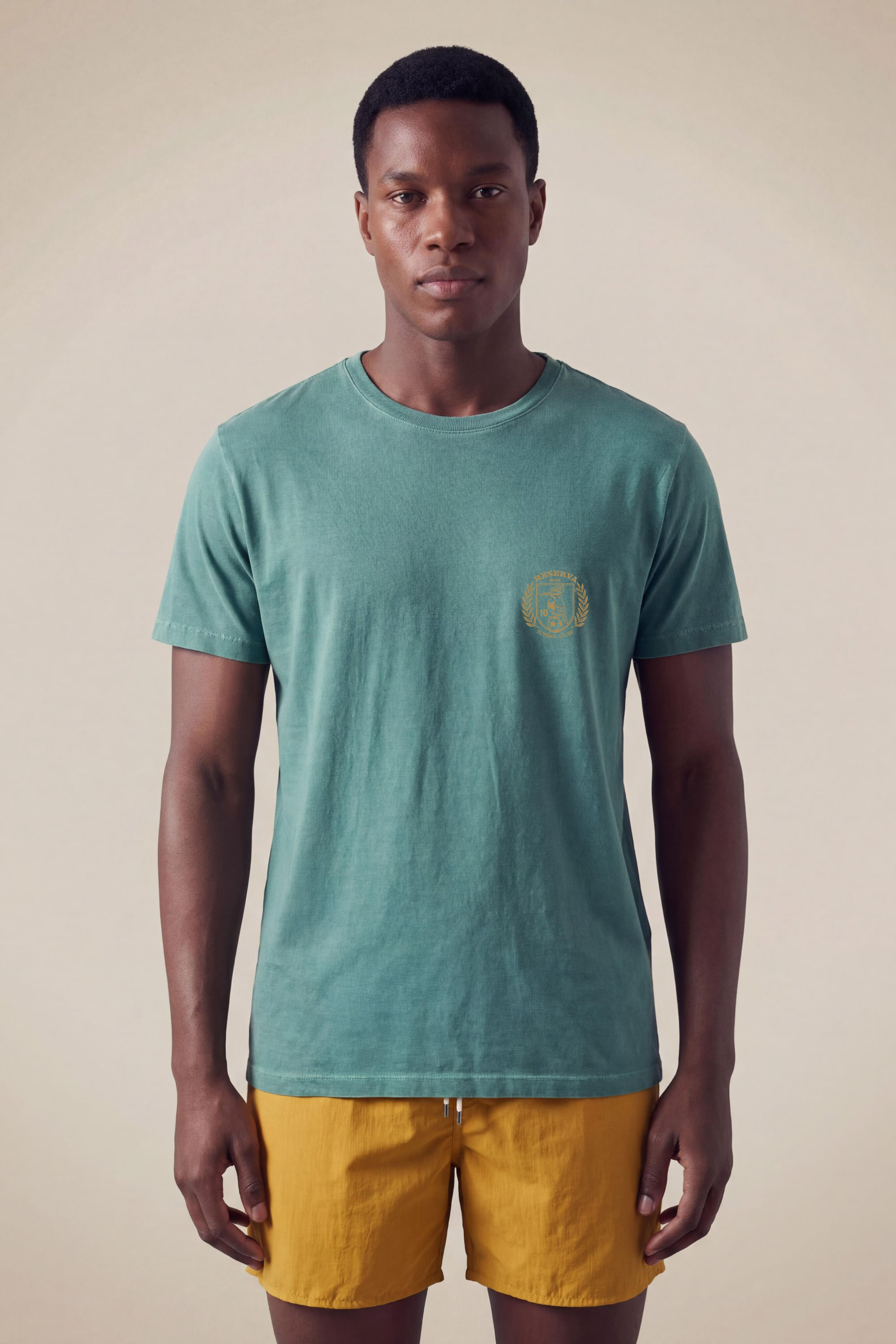 Camiseta Slim Estampada Escudo Pica Pau