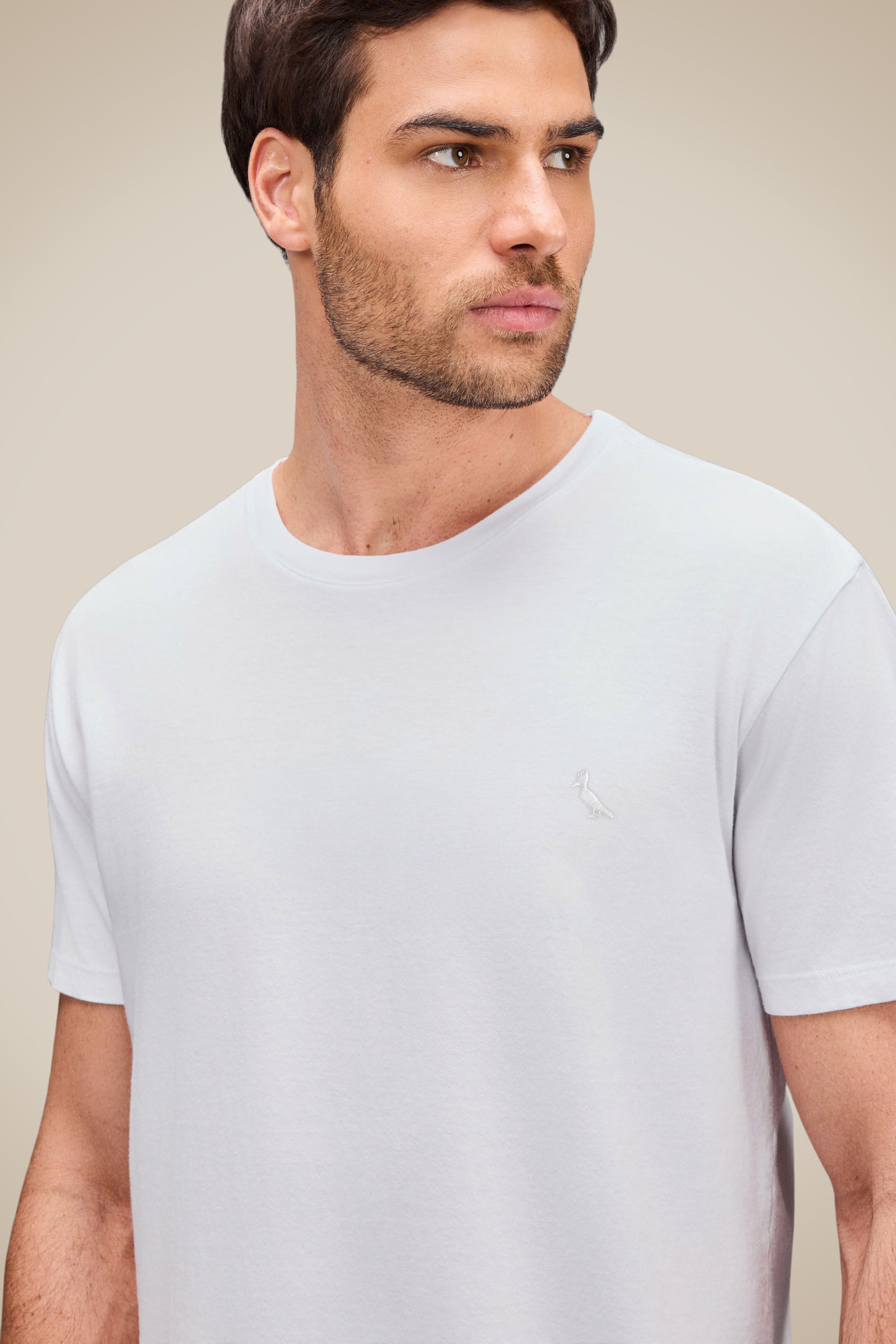 Camiseta Básica Suspiro Pica-pau Bordado
