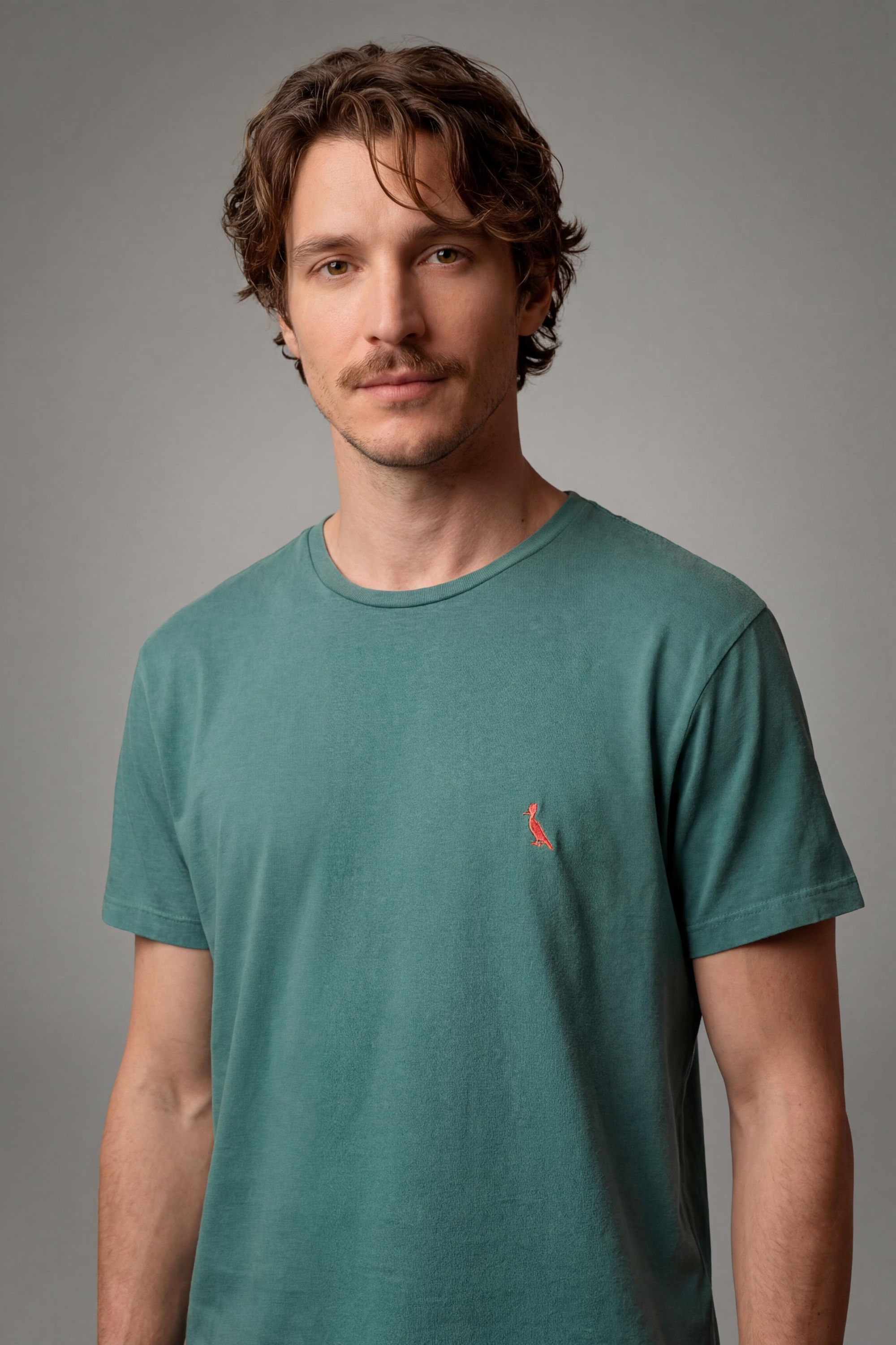 Camiseta Básica Brasa Pica-pau Bordado