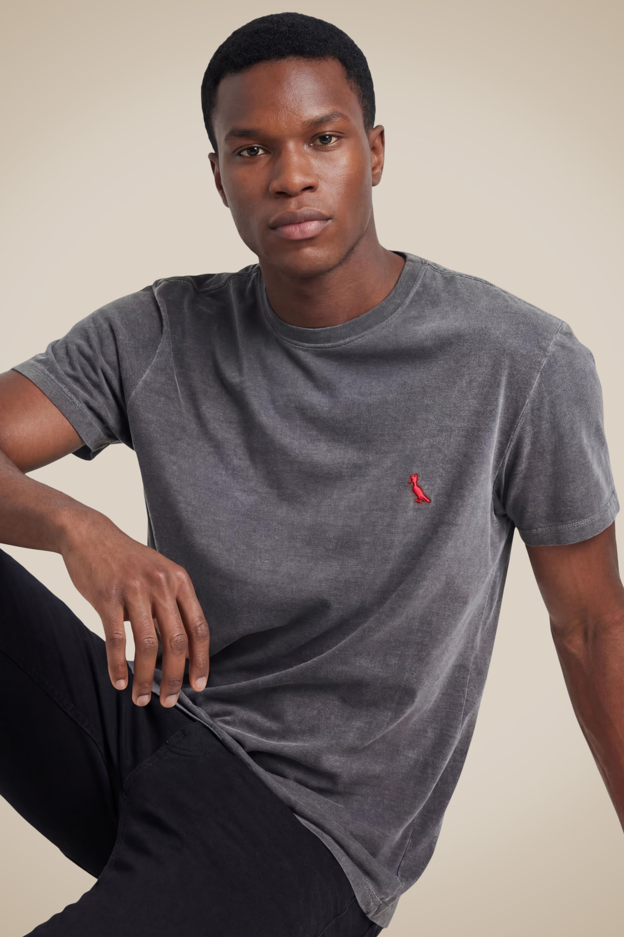 Camiseta Básica Brasa Pica-pau Bordado