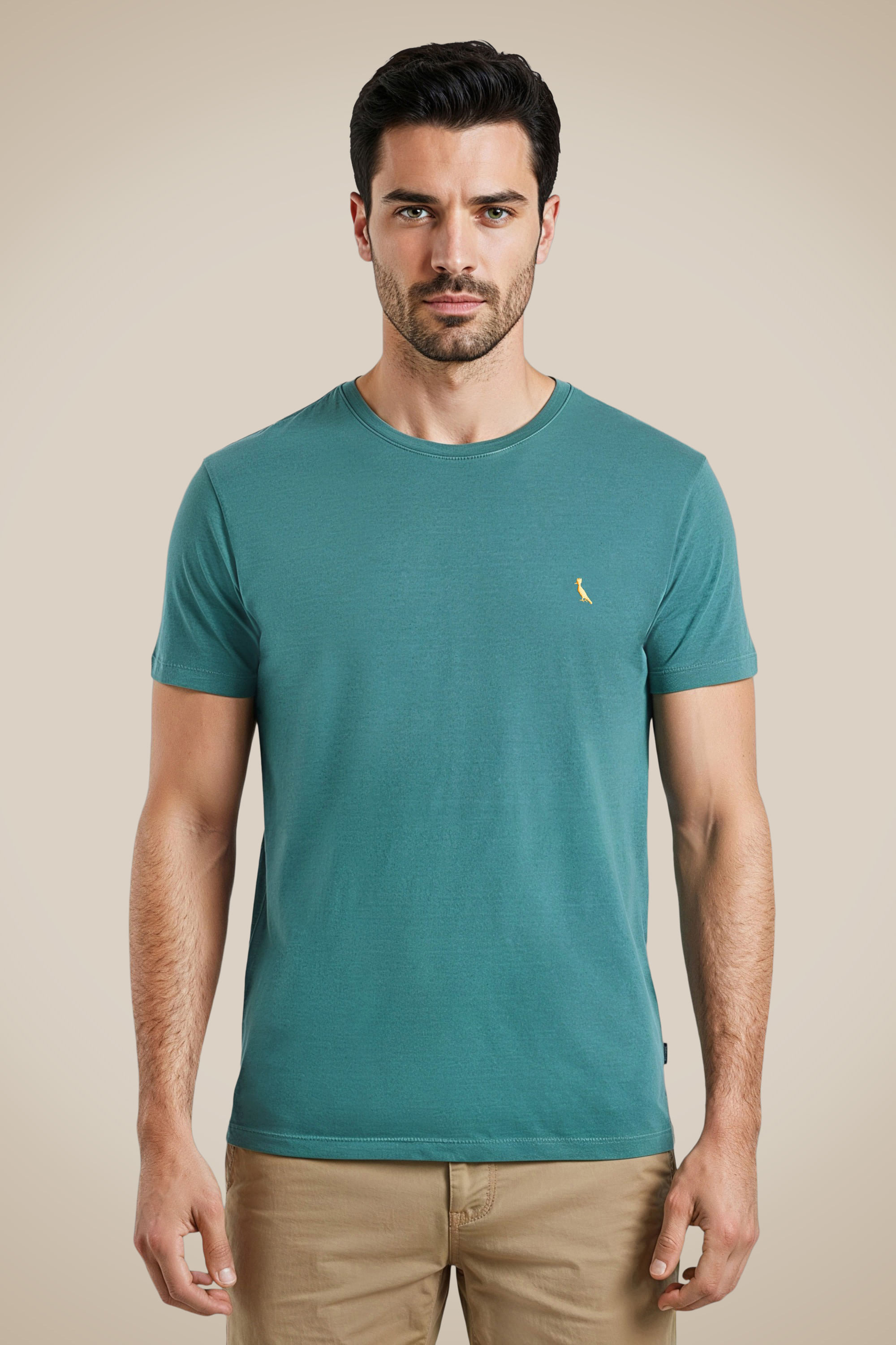 Camiseta Pra Torcer Pica-pau Bordado