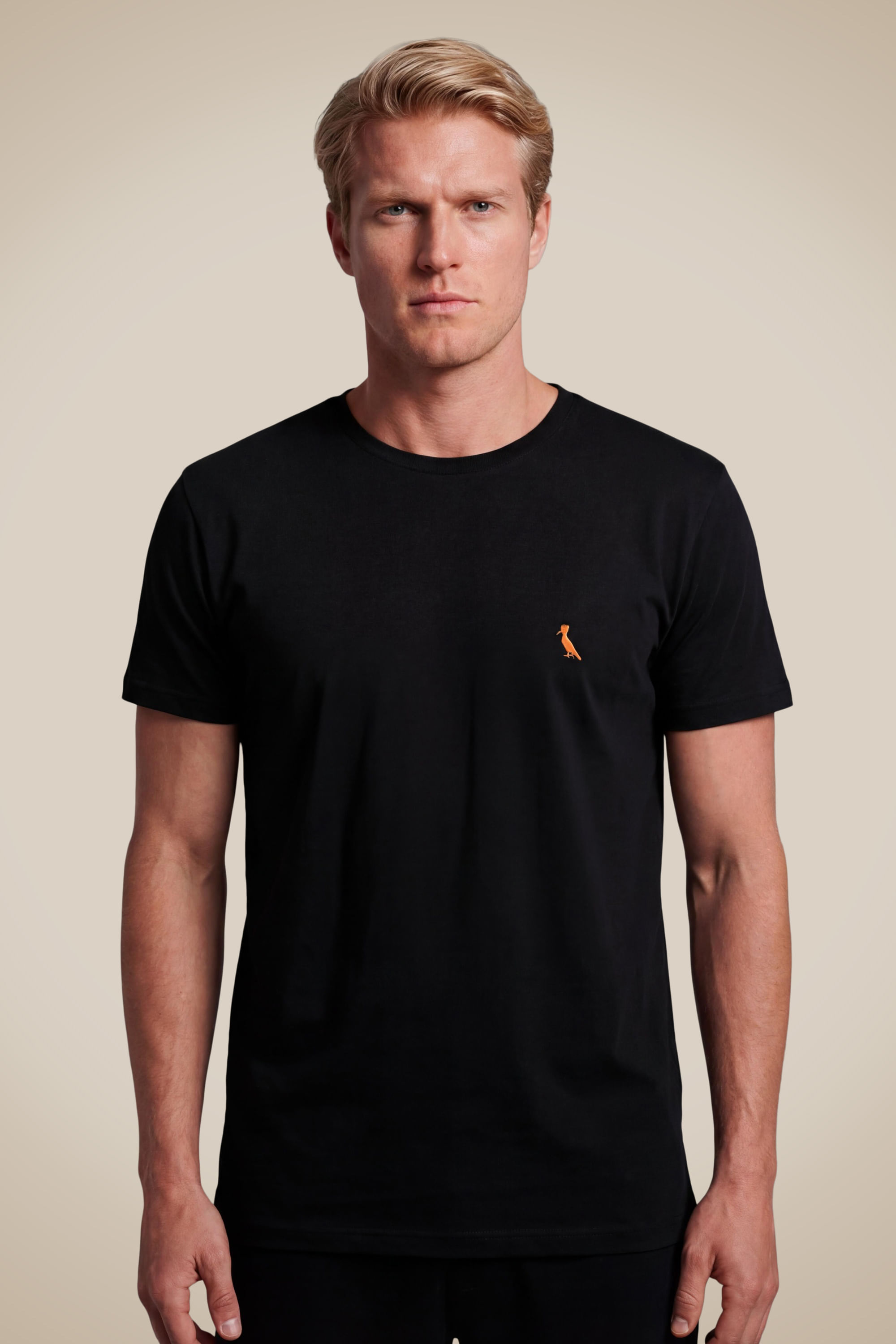 Camiseta Pica Pau Bordado Glow
