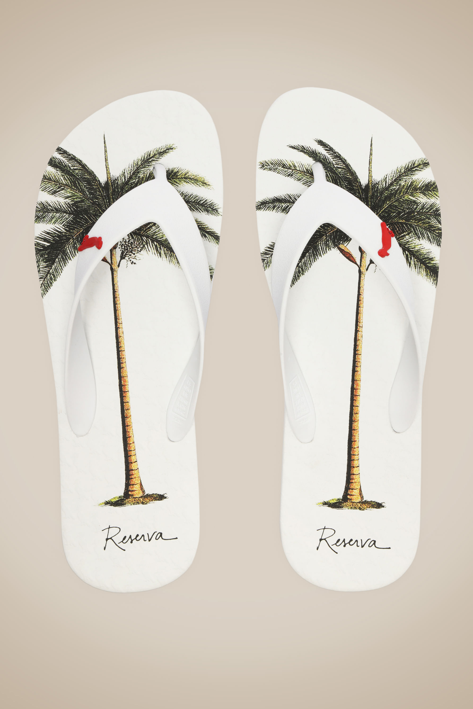 Chinelo Rsv Palmeira