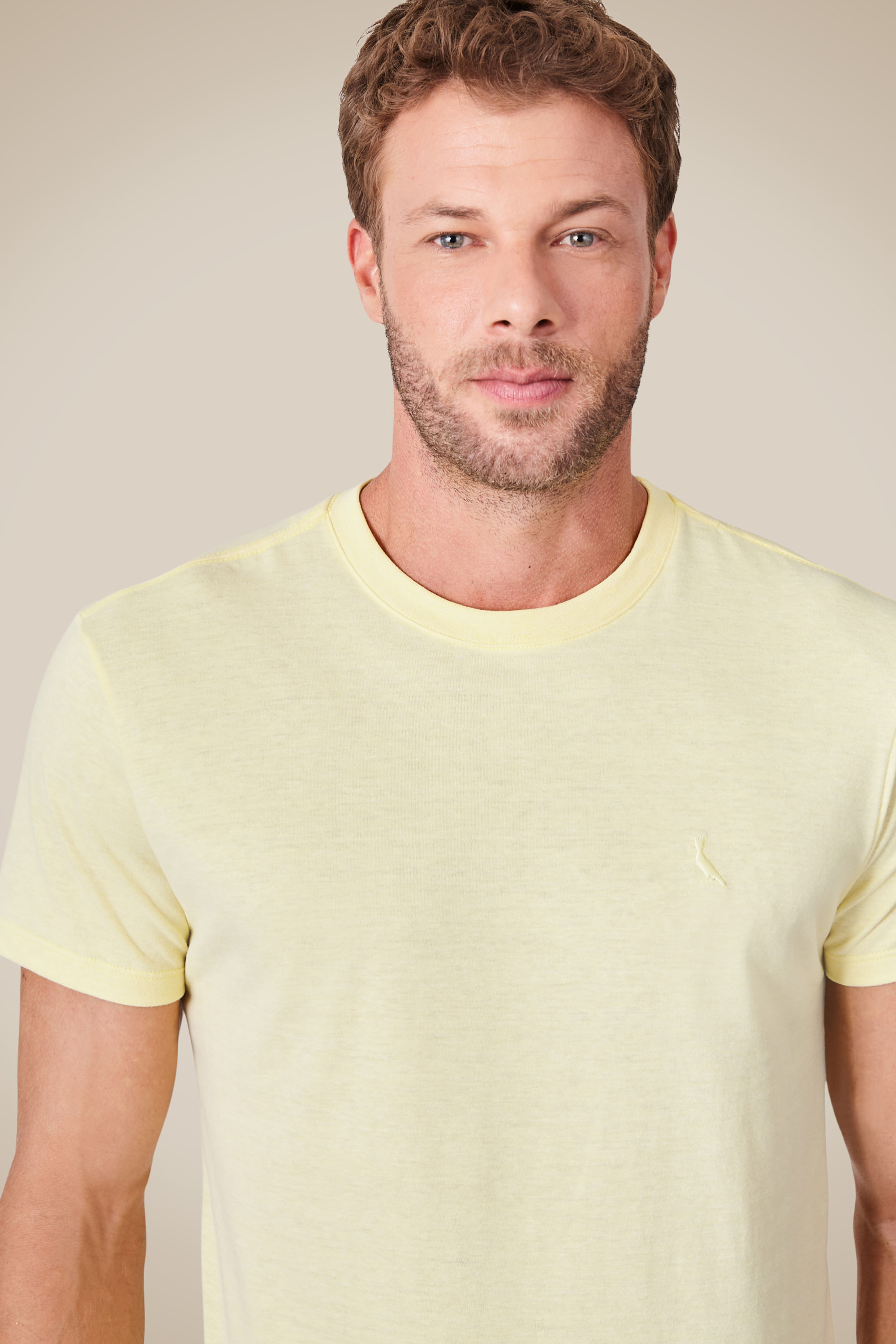 Camiseta Regular Mescla Touch