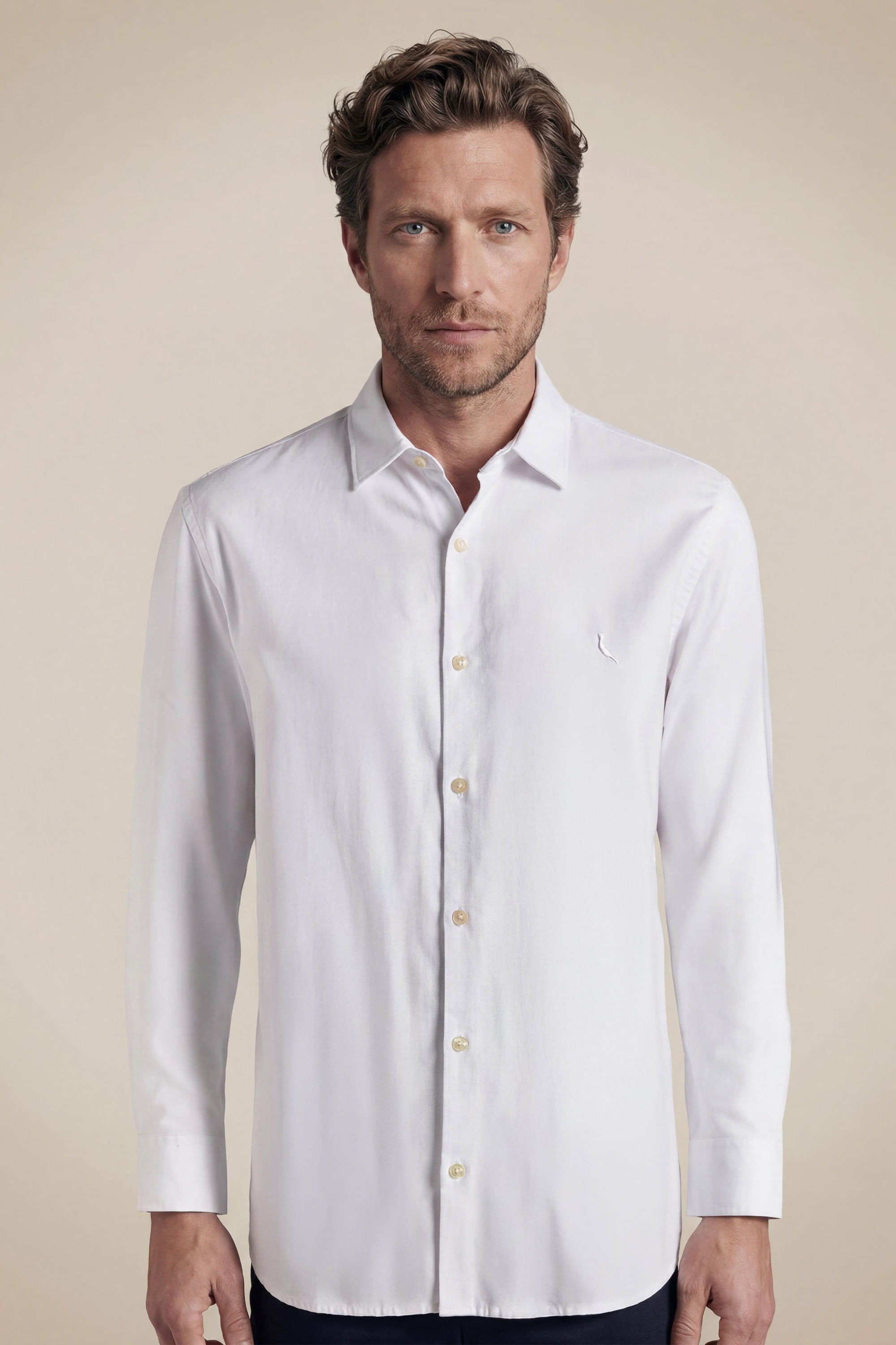 Camisa Ml Oxford Premium