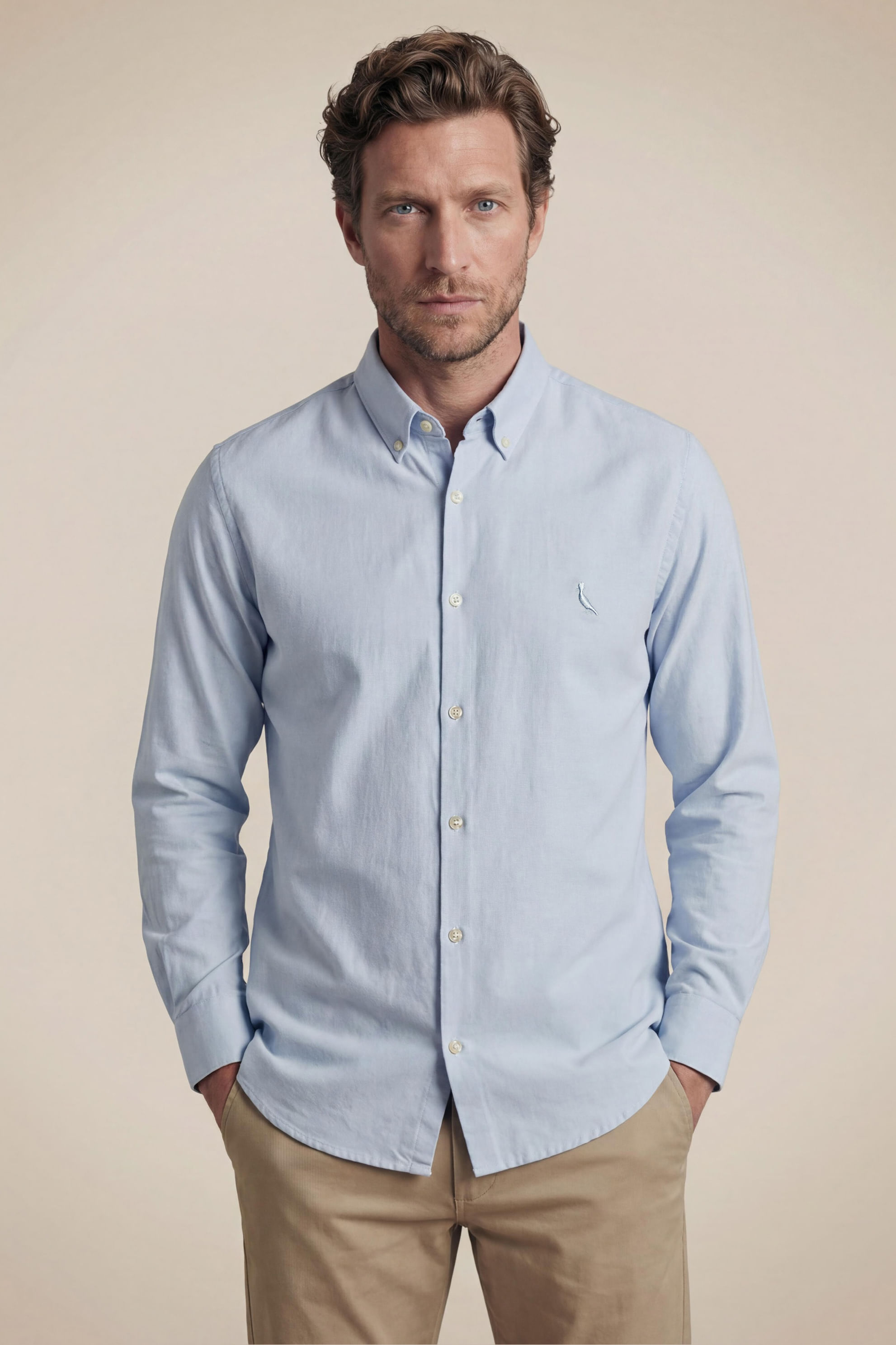 Camisa Ml Oxford Premium