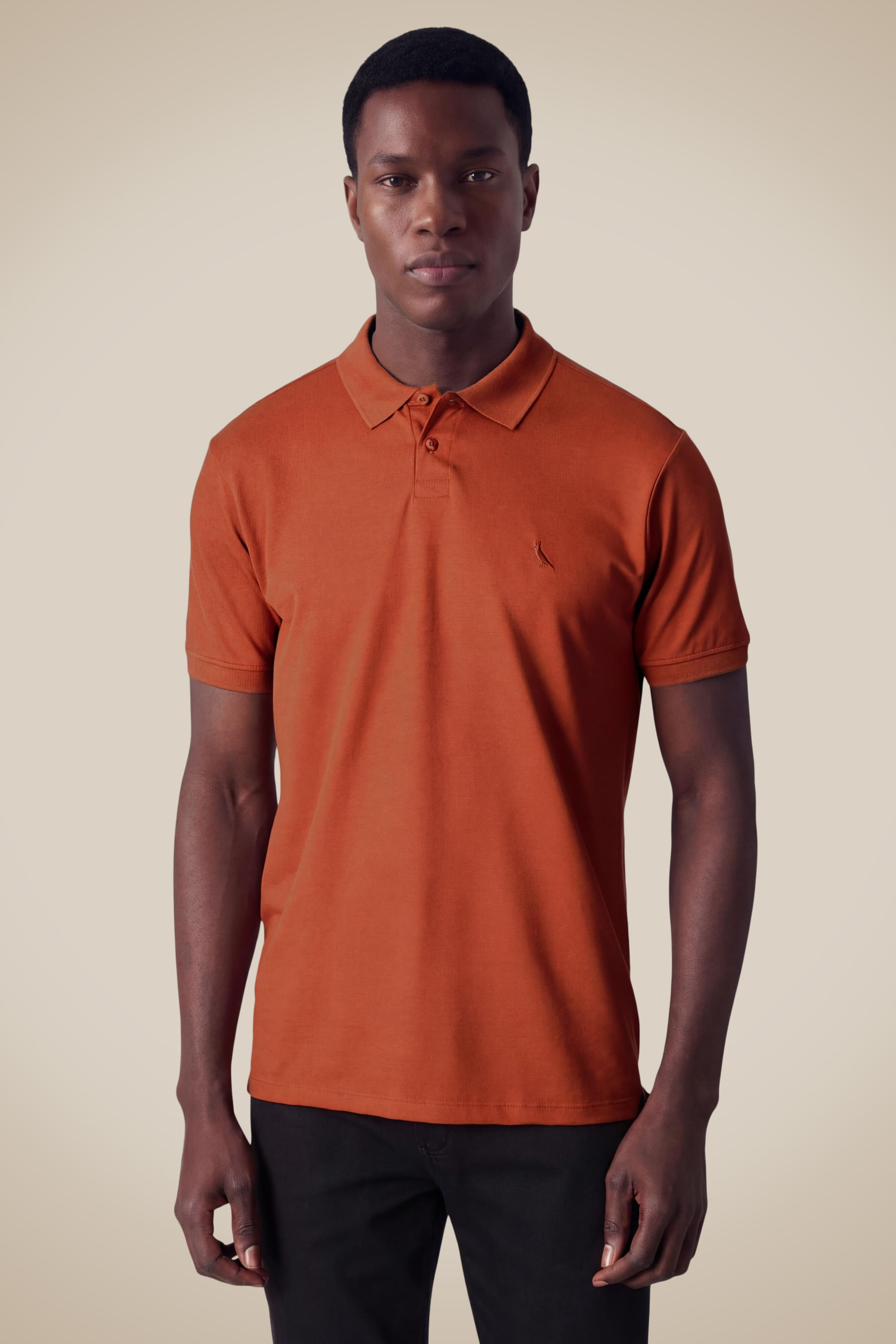 Polo Pima Piquet