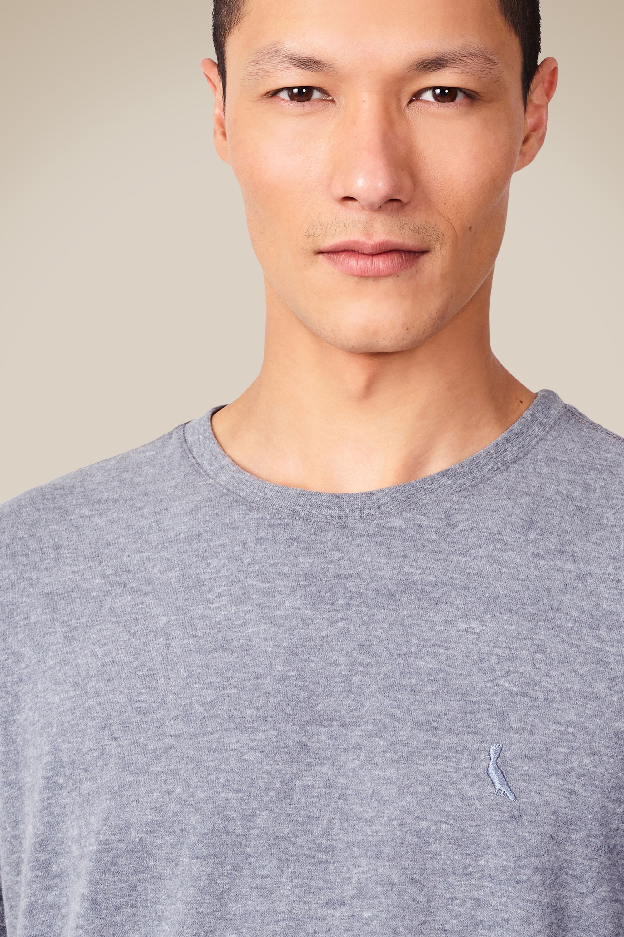 Camiseta Regular Mescla Touch