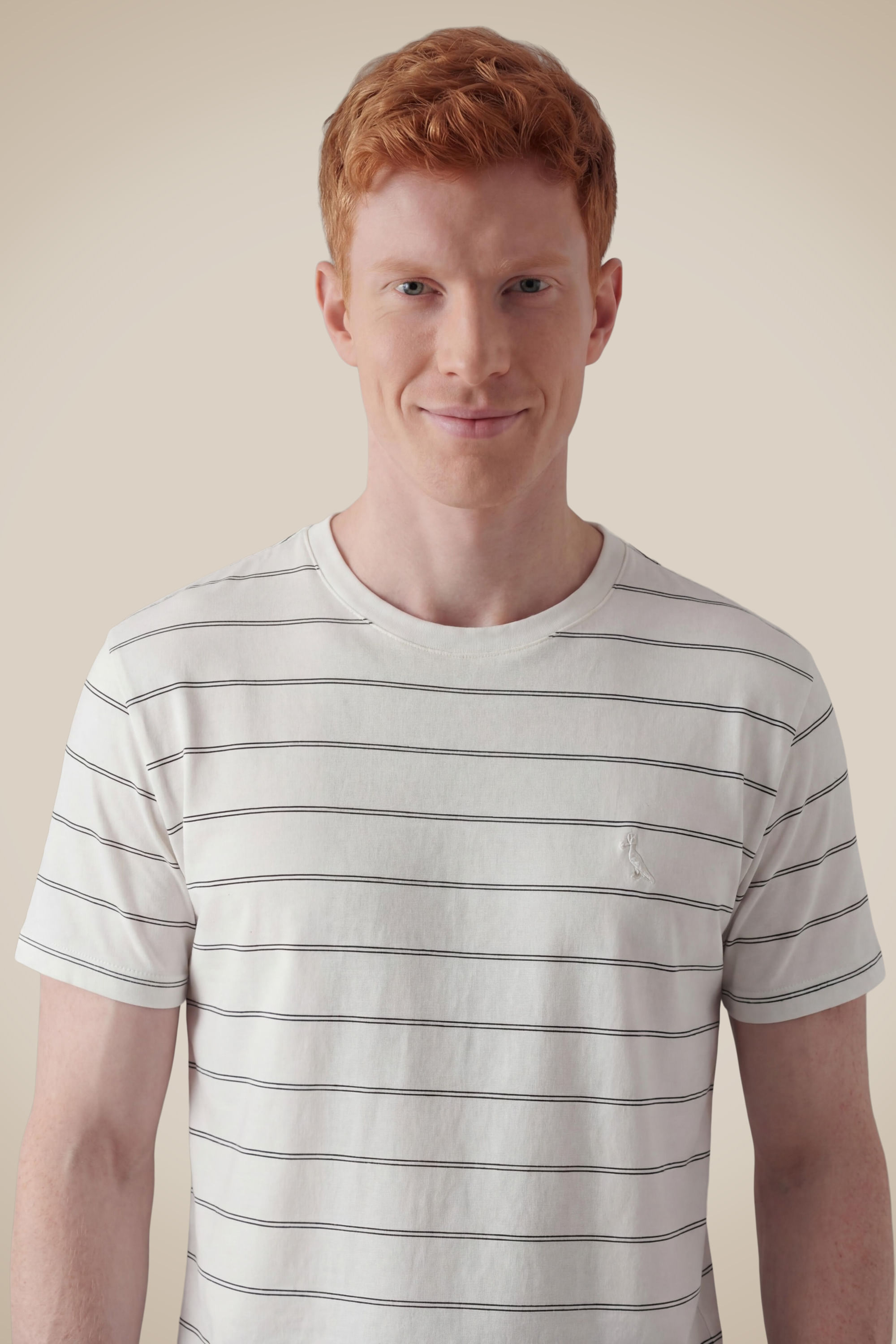 Camiseta Slim Levi