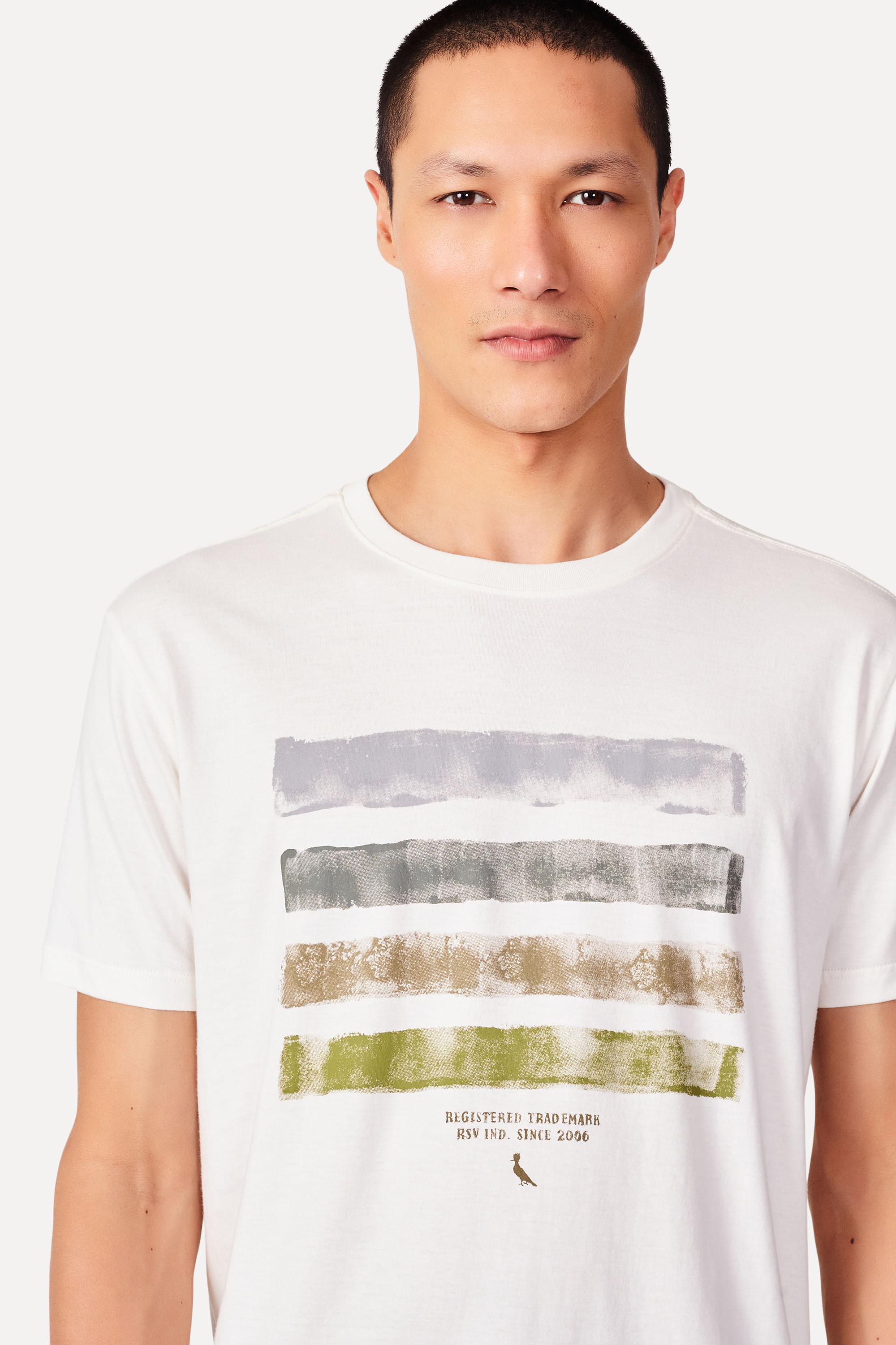 Camiseta Slim Estampada New Stripes