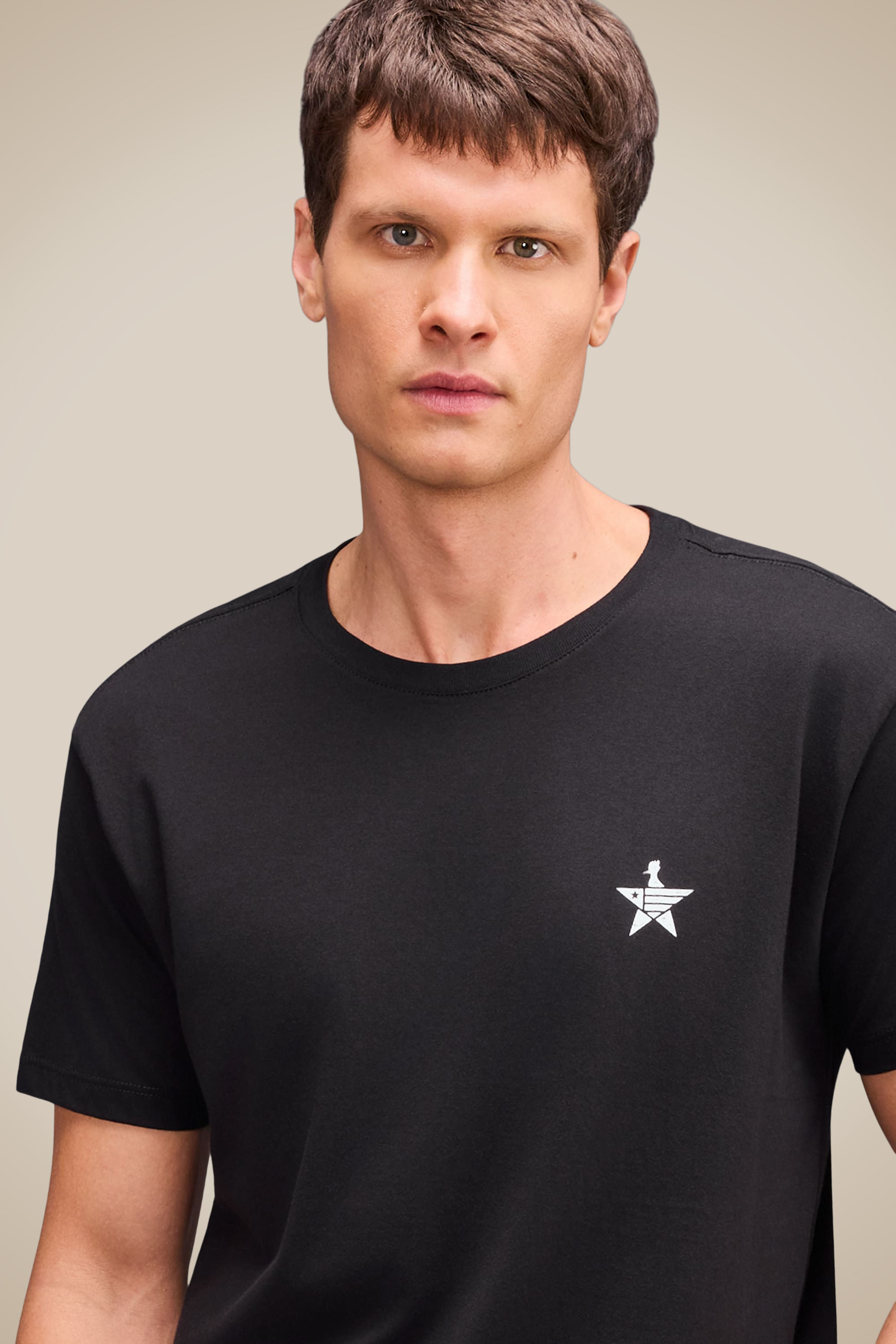 Camiseta Estampa Estrela Pp Botafogo