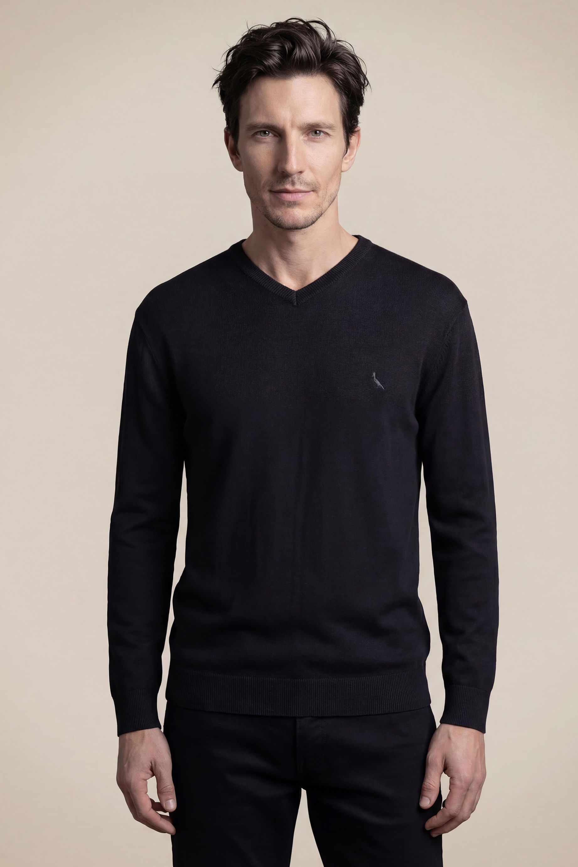 Tricot Basico Gola V - Preto - G