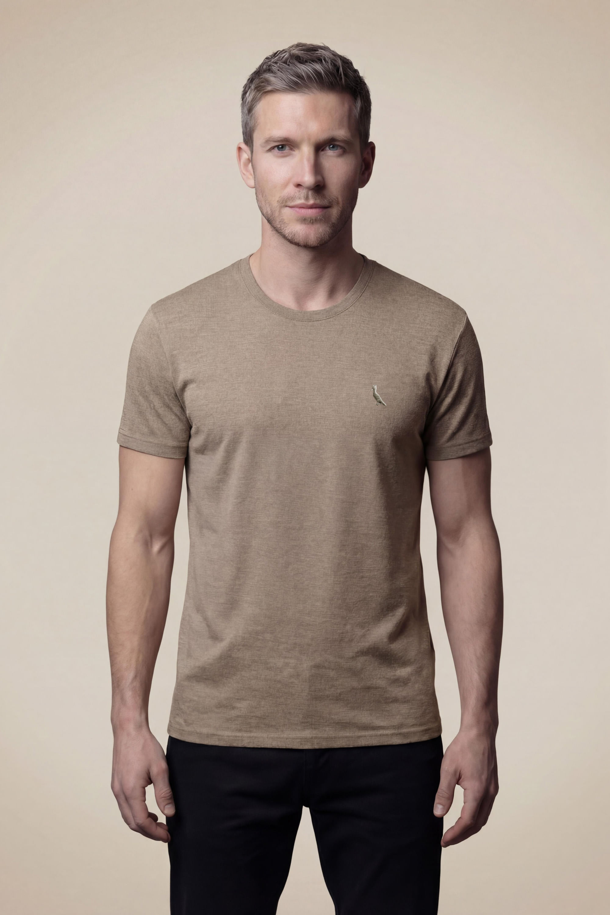Camiseta Regular Mescla Touch