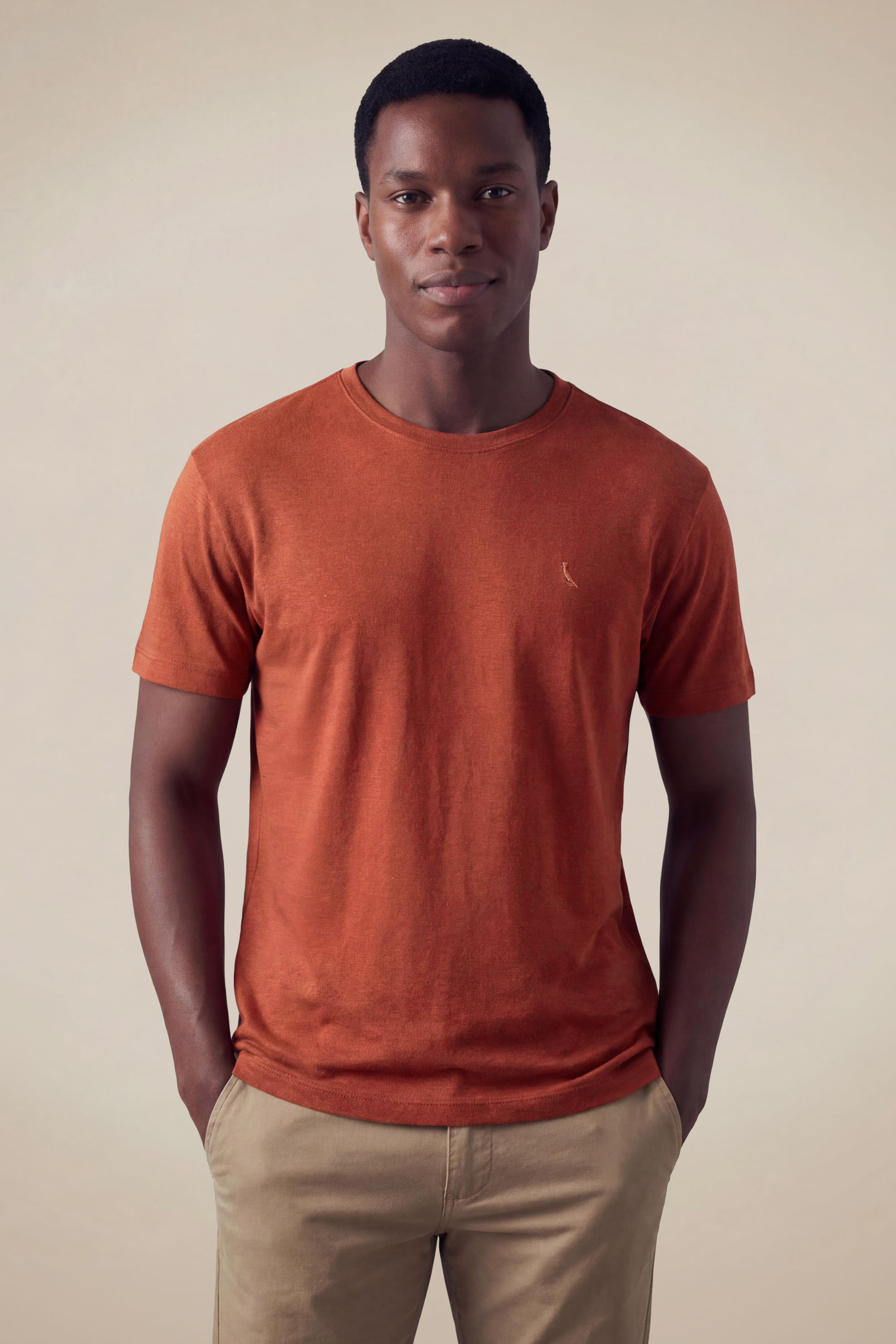 Camiseta Regular Linho Color