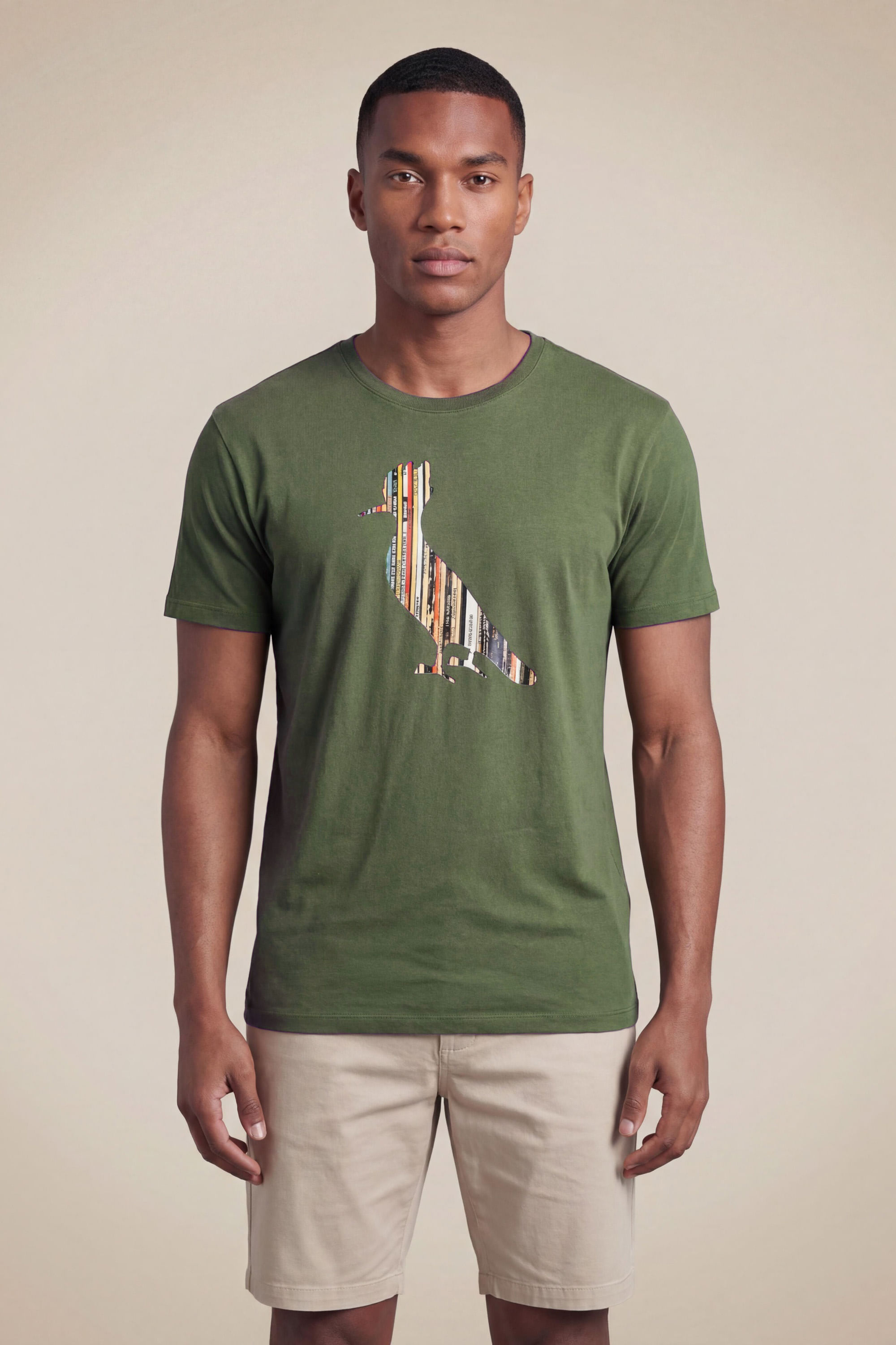 Camiseta Estampada Pica Pau Discos