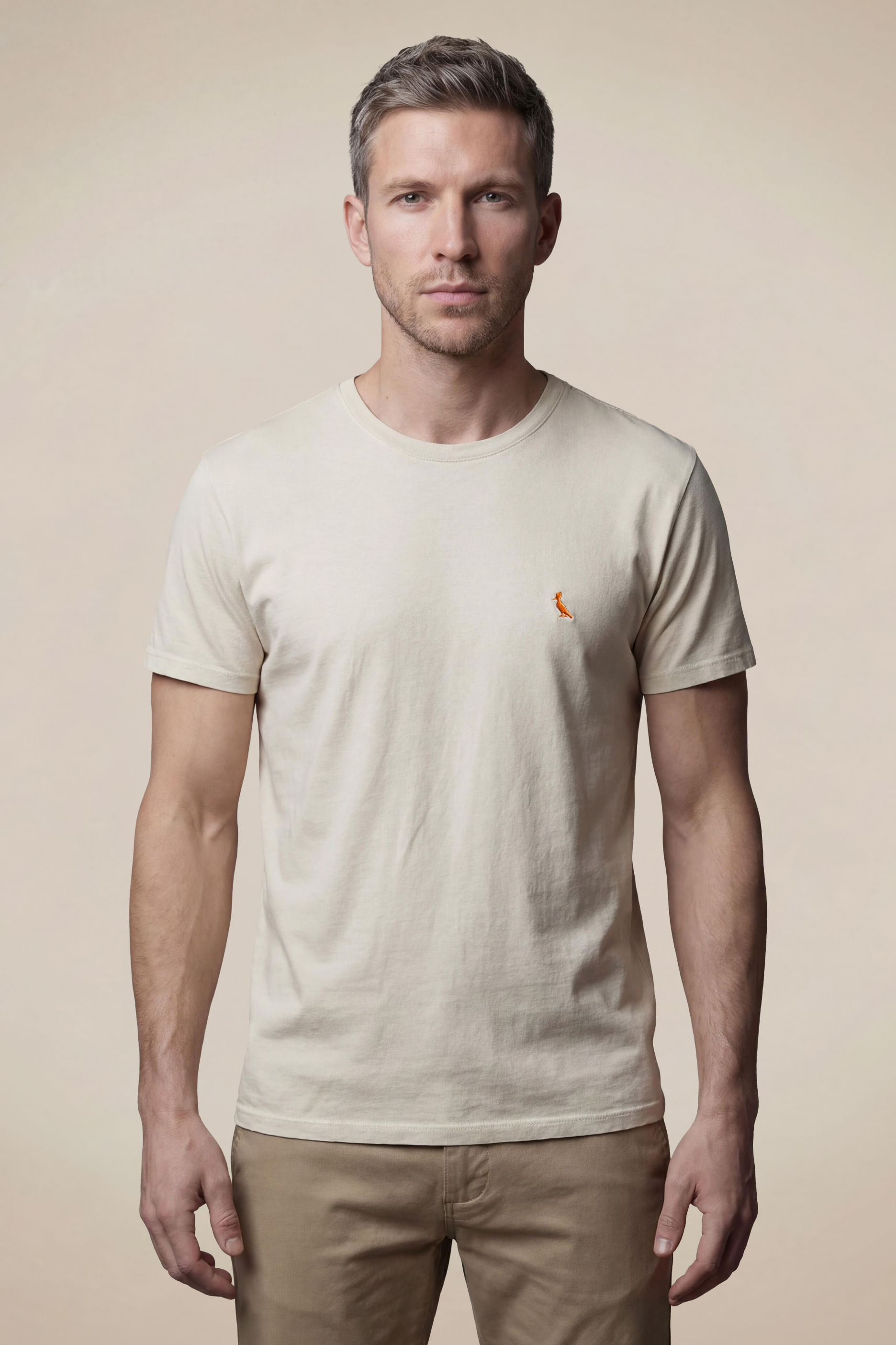 Camiseta Estampa Journey Or Destination - Aveia - Ggg