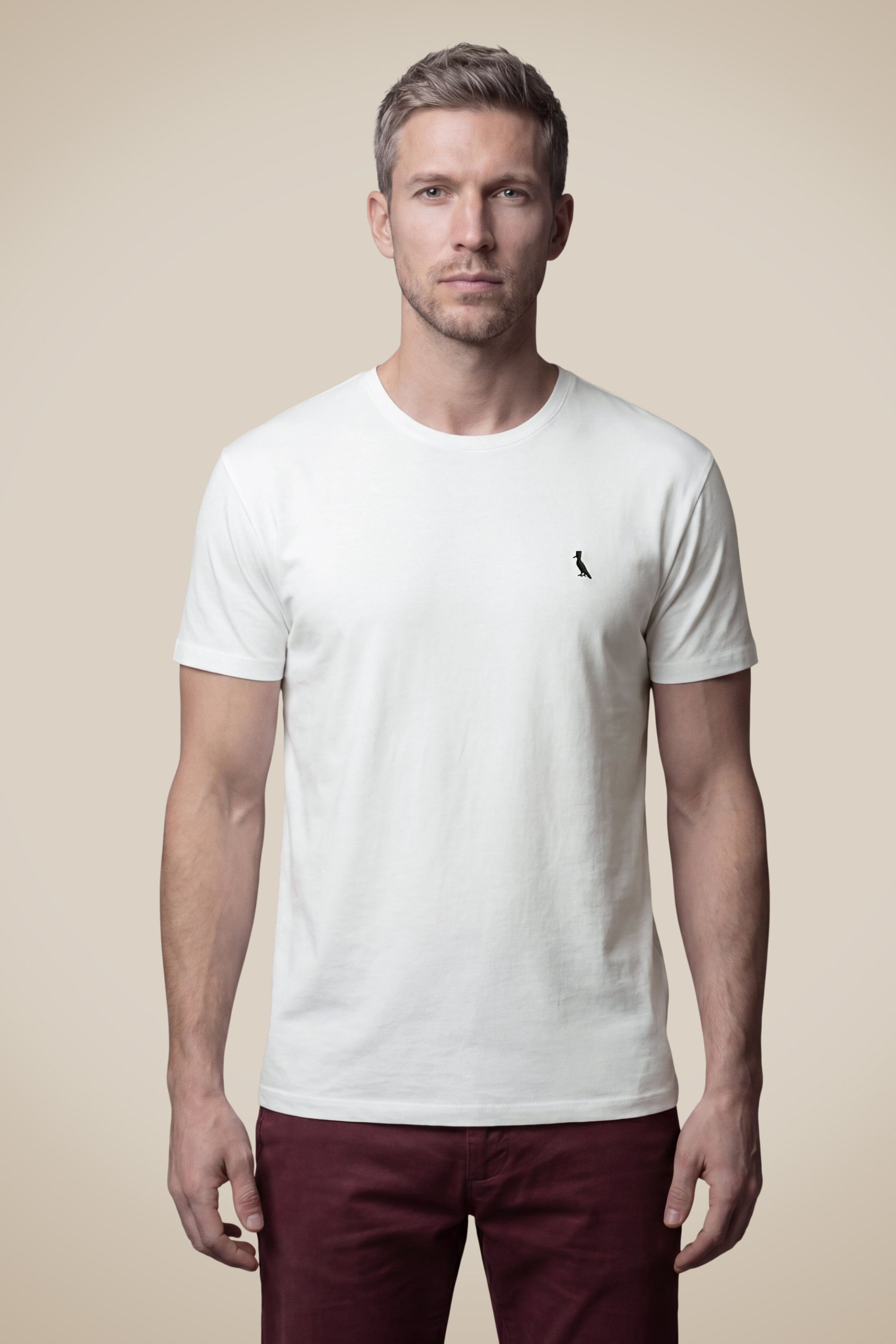 Camiseta Regular Vento